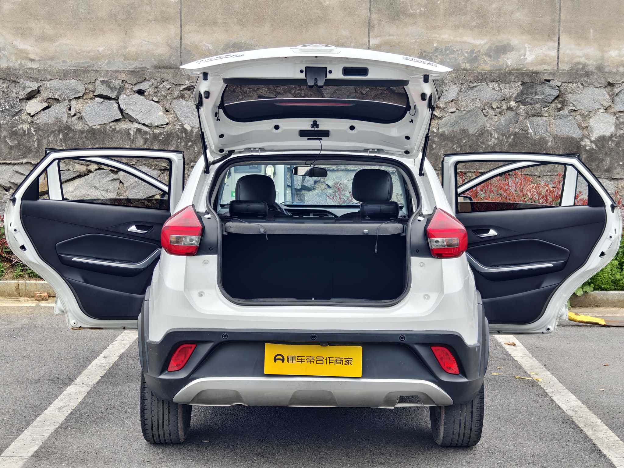 Chery Tiggo 3x 2019 #13 Chery Tiggo 3x 2019 car image #13