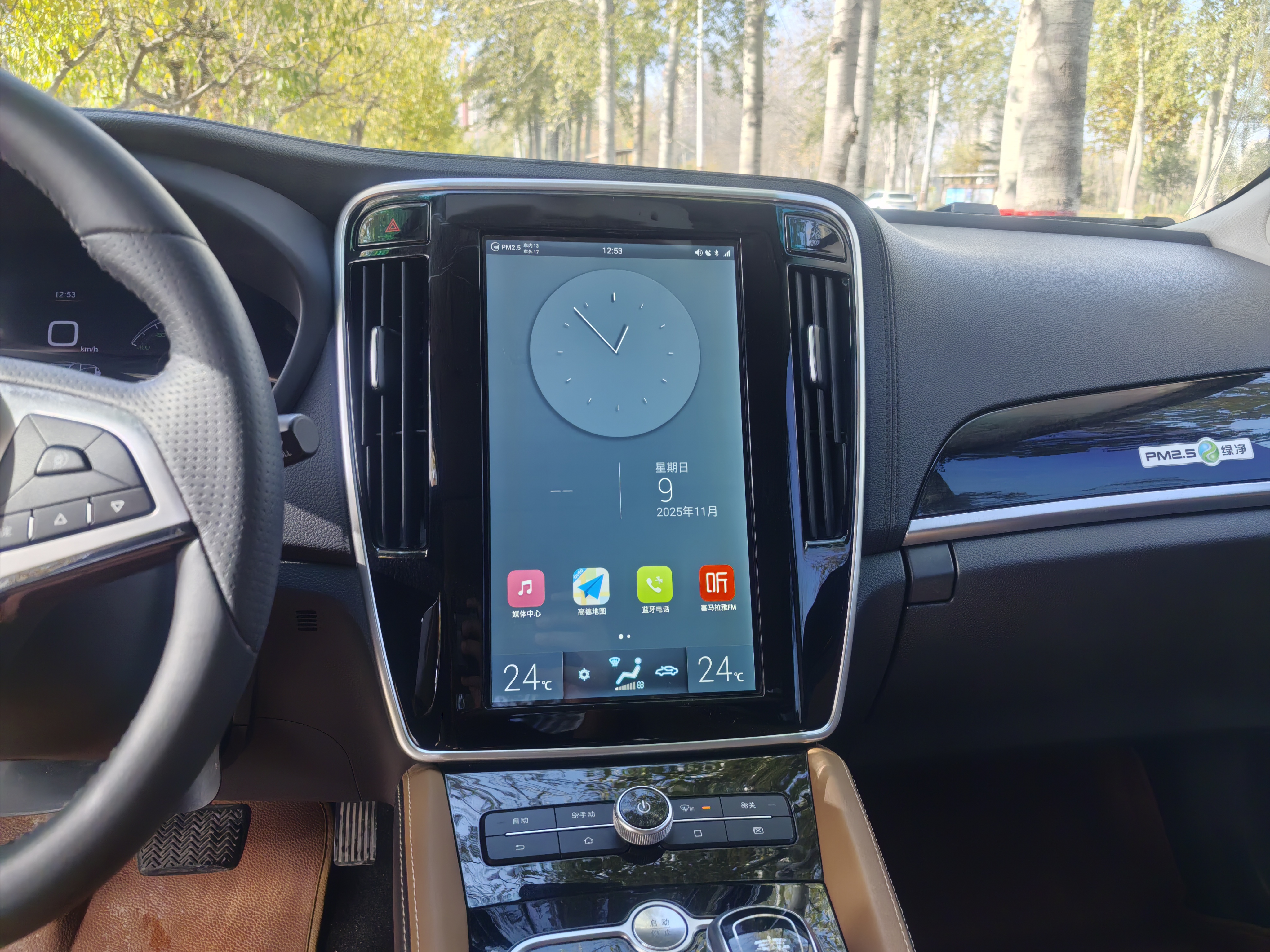 BYD Qin New Energy 2018 car image #13