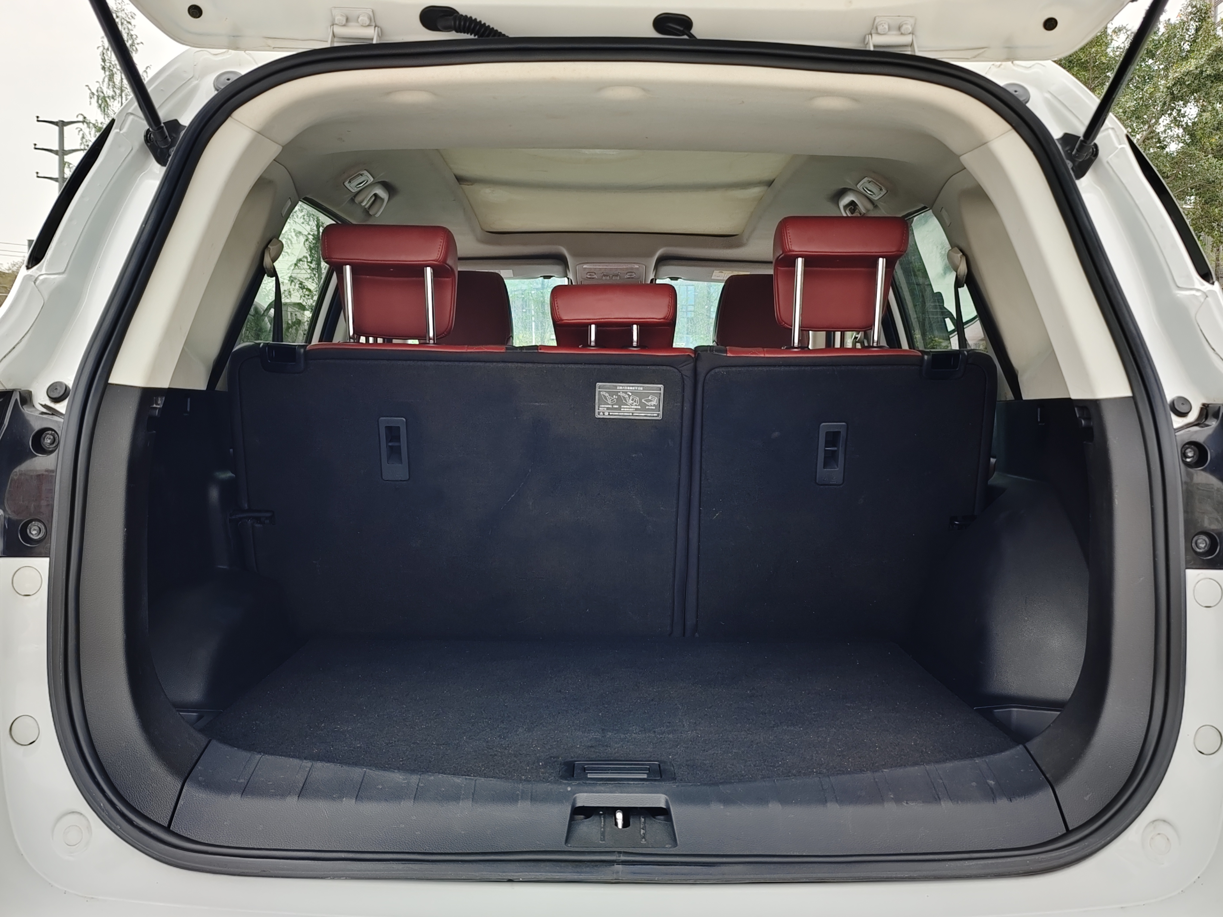 T5 2019 #13 T5 2019 car image #13