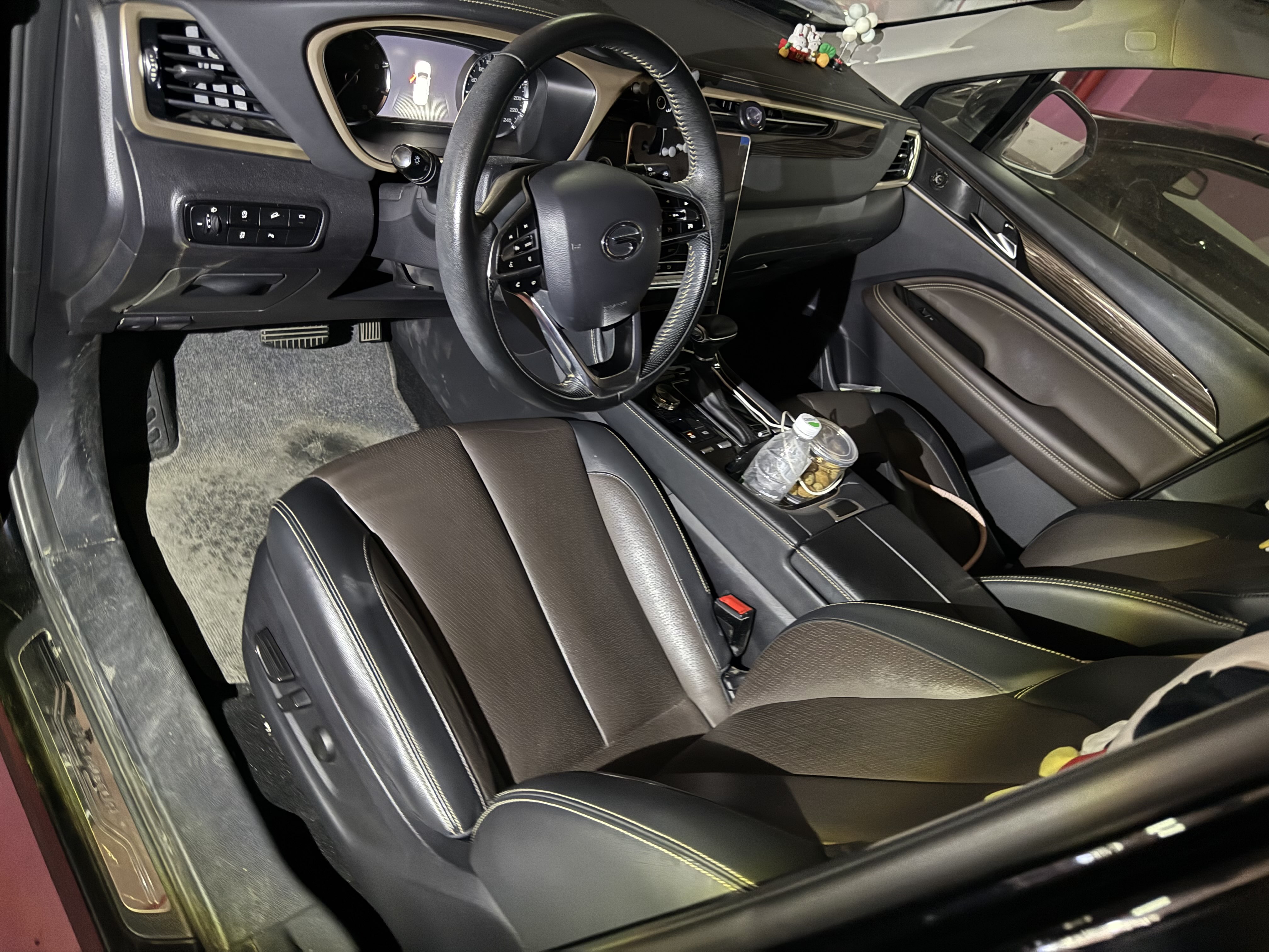 GAC Trumpchi GS5 2019 car image #13