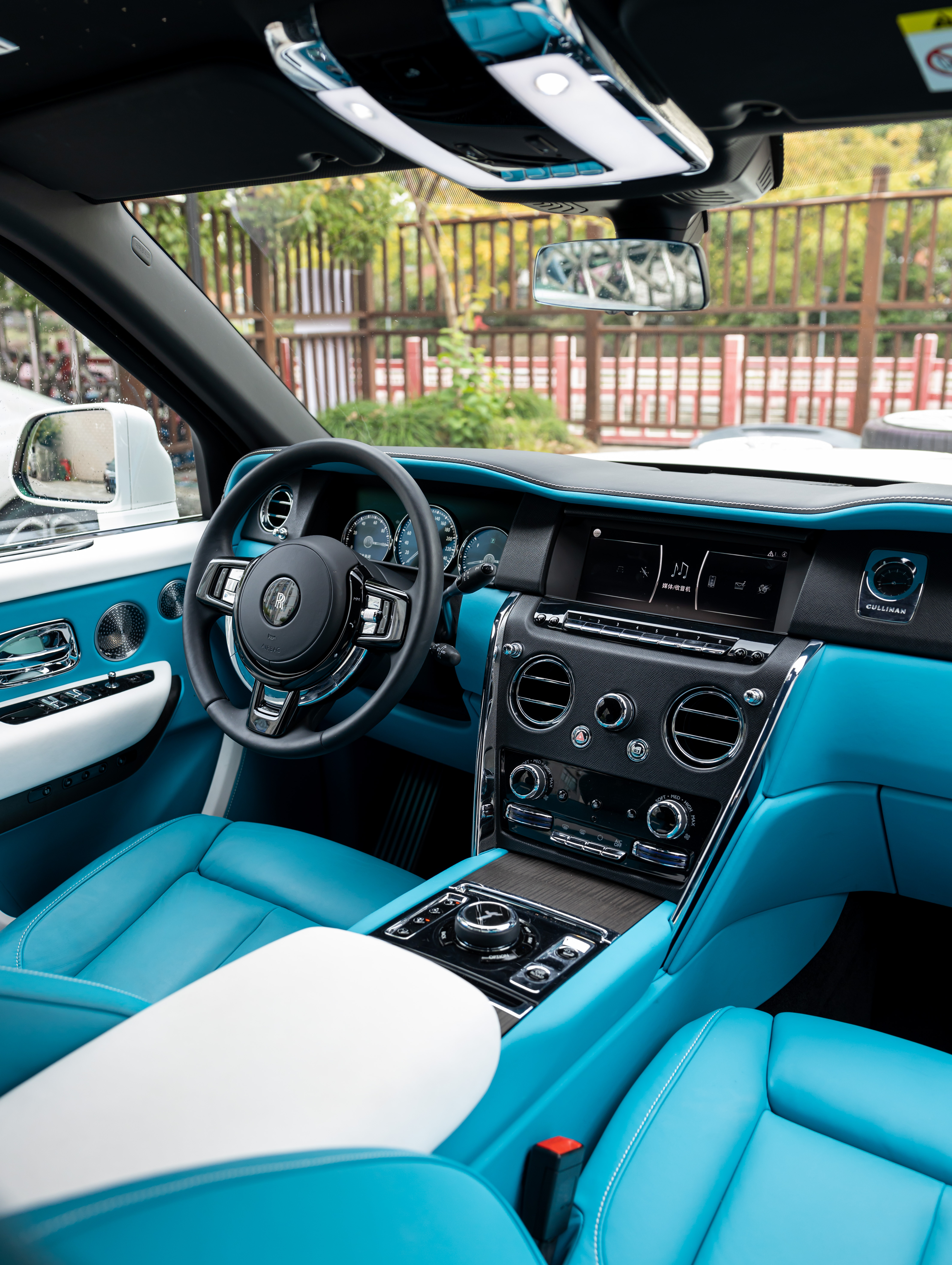 Rolls-Royce Cullinan 2021 immagine di auto #13