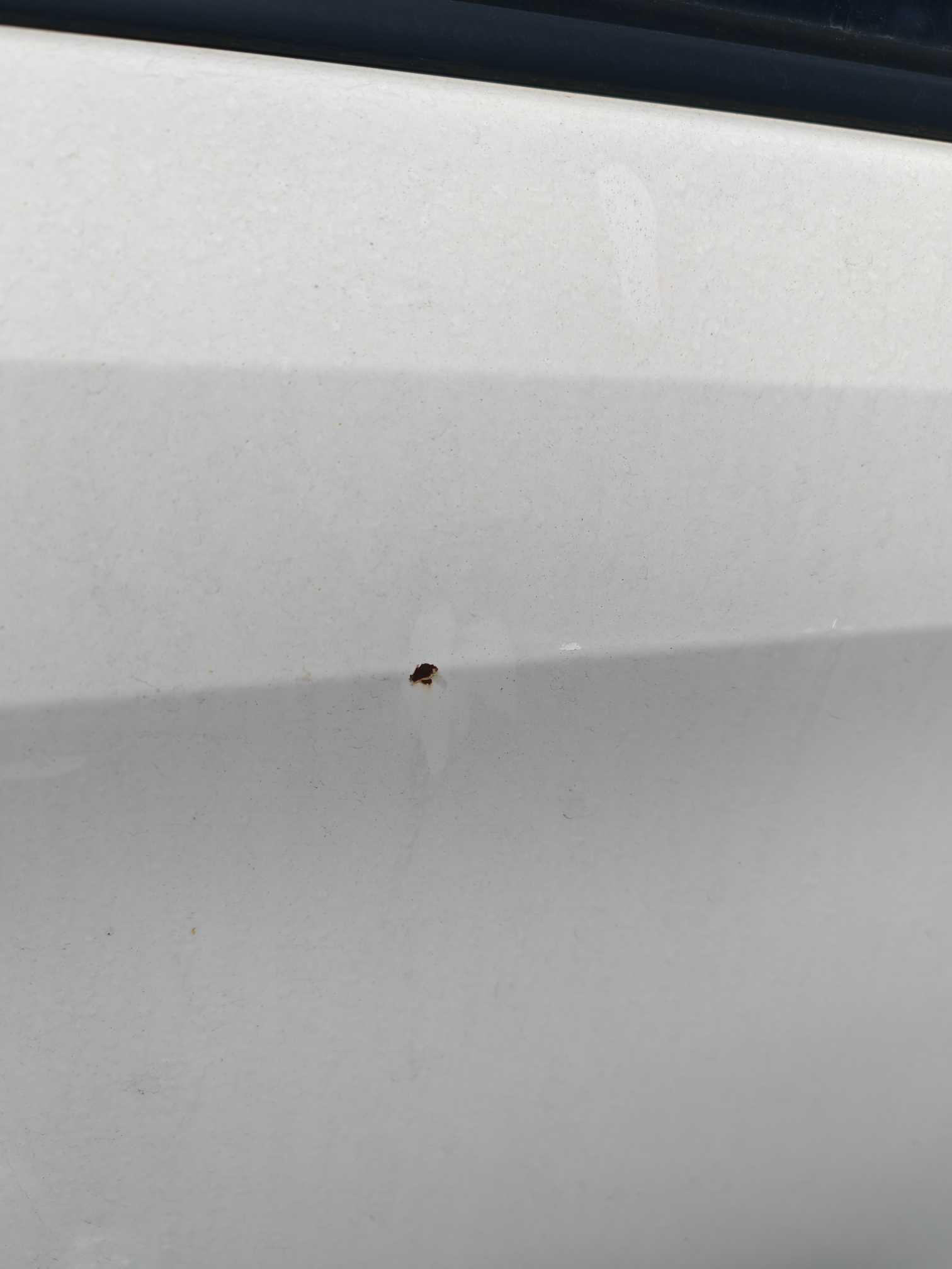 Yaris L Zhixuan 2019 car image #13