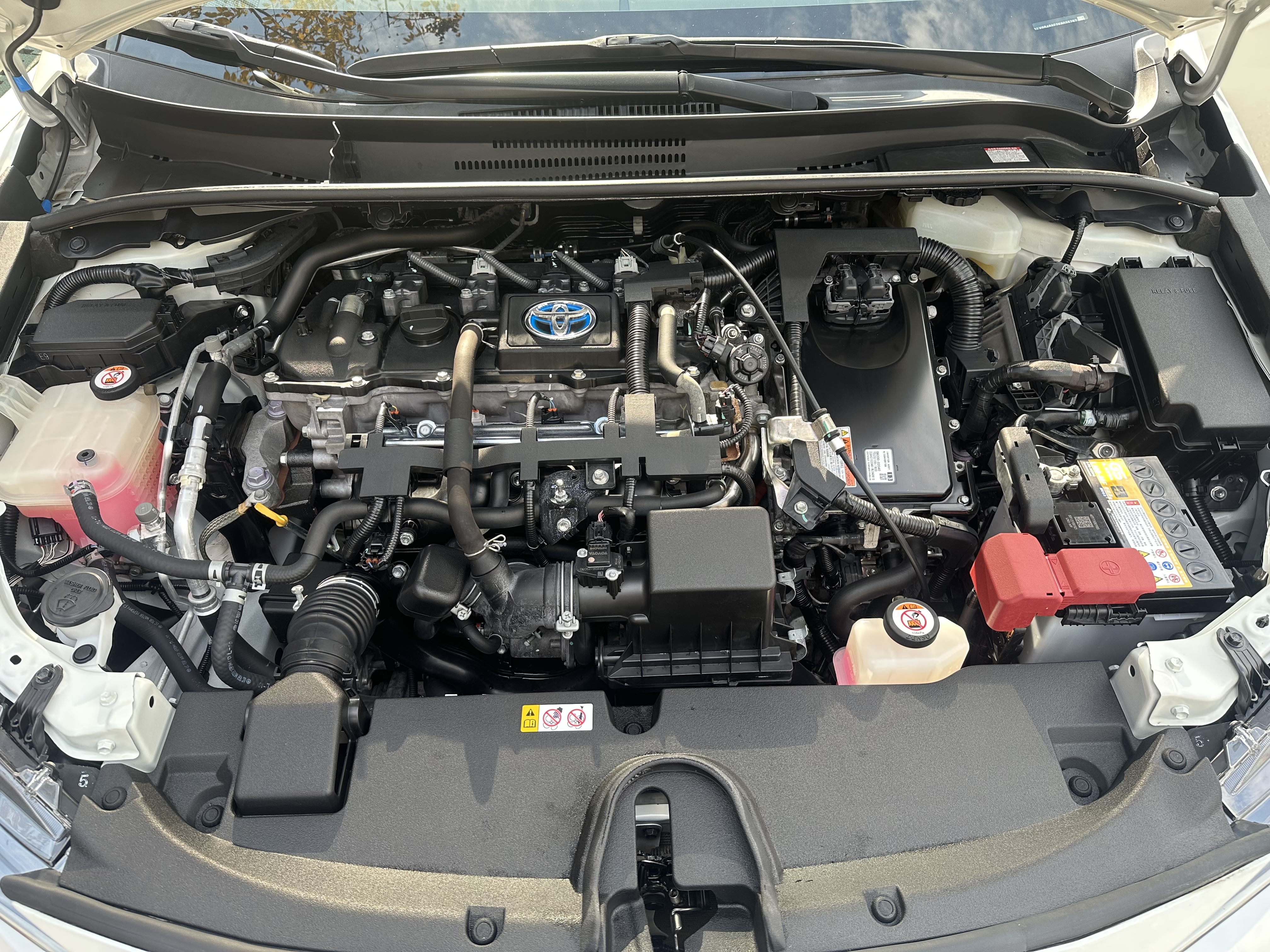 Toyota Levin 2020 imagem de carro #13