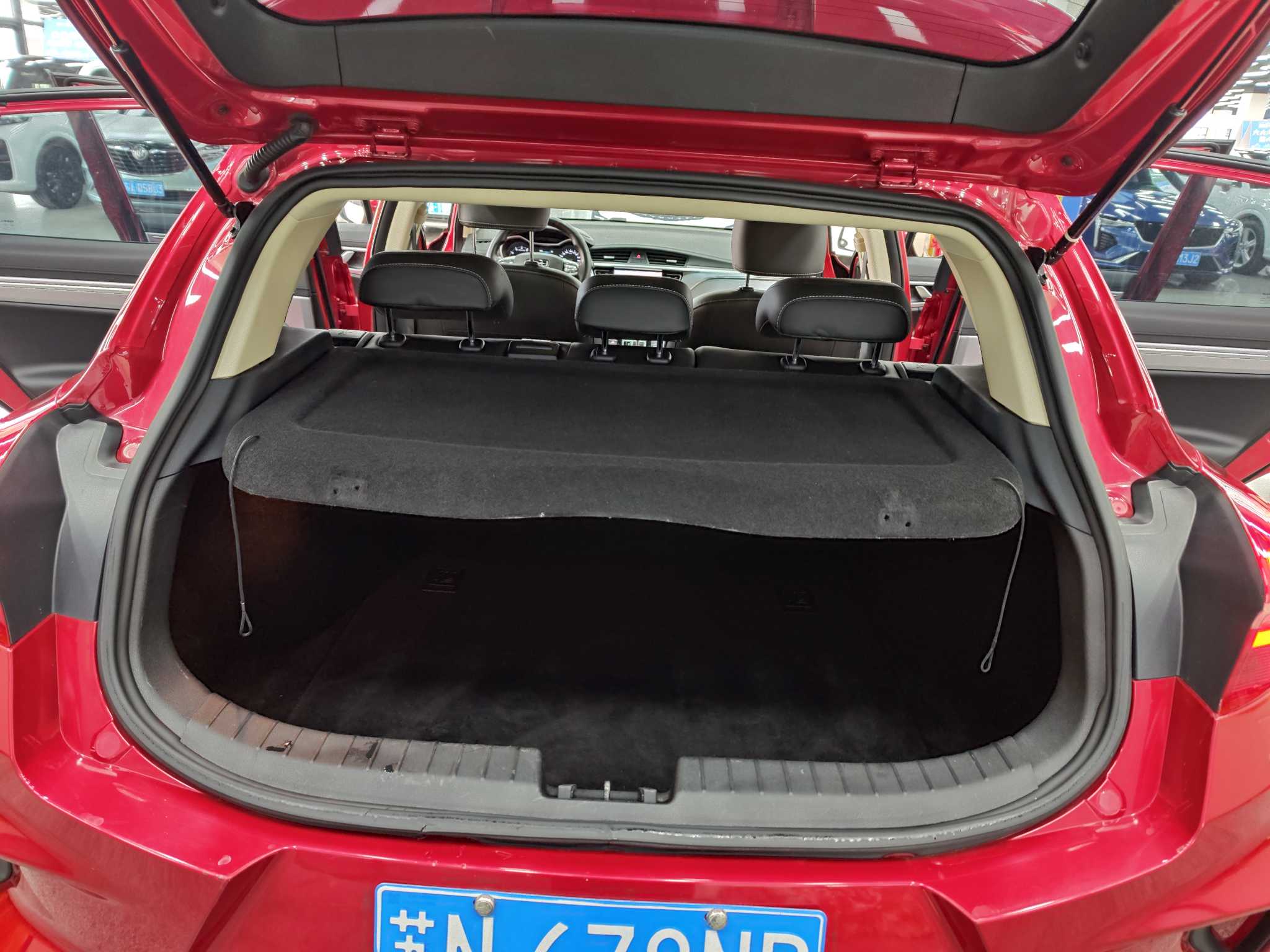 Emgrand GS 2020 car image #13