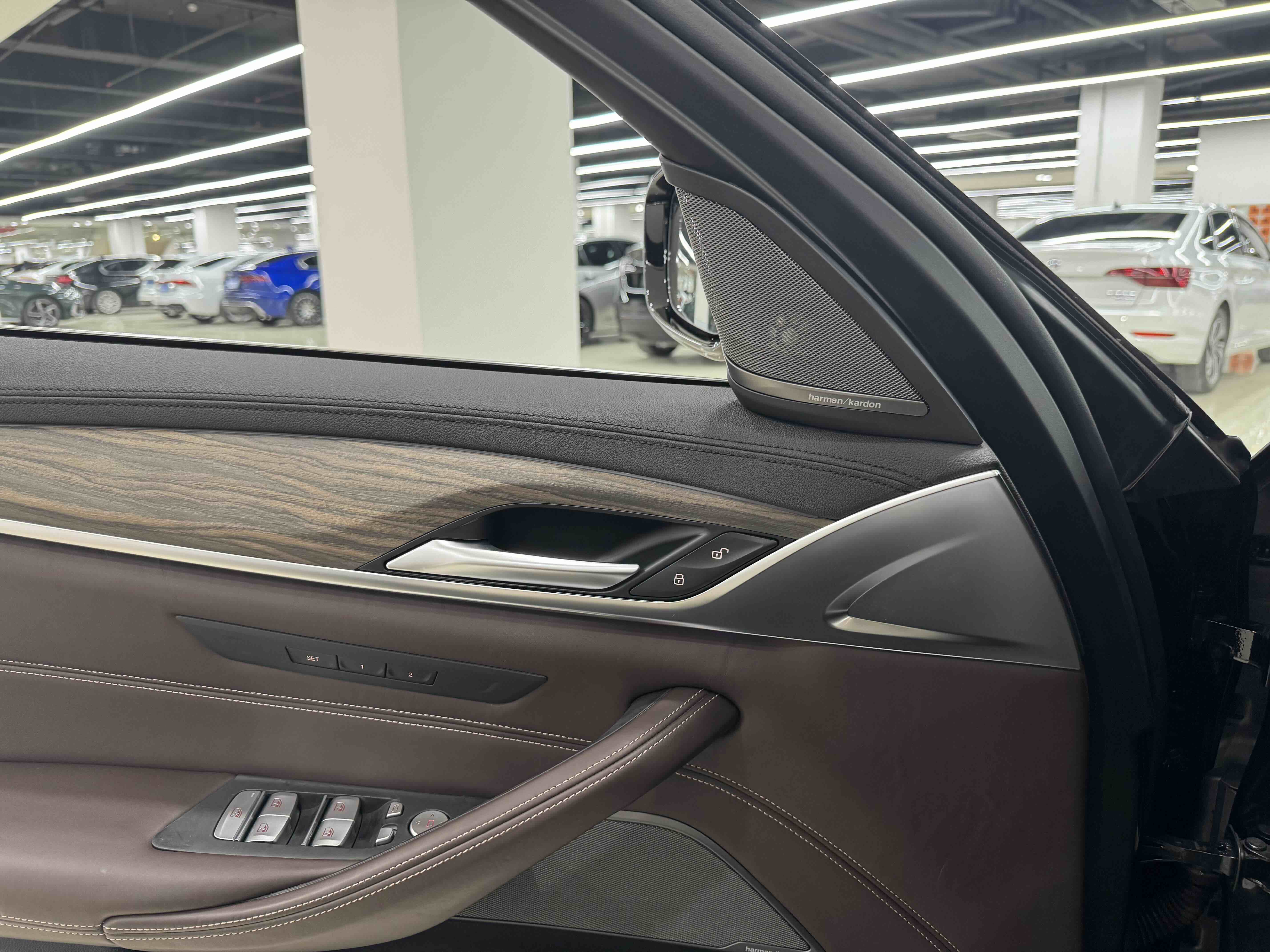 BMW 5 Series 2019 car image #13