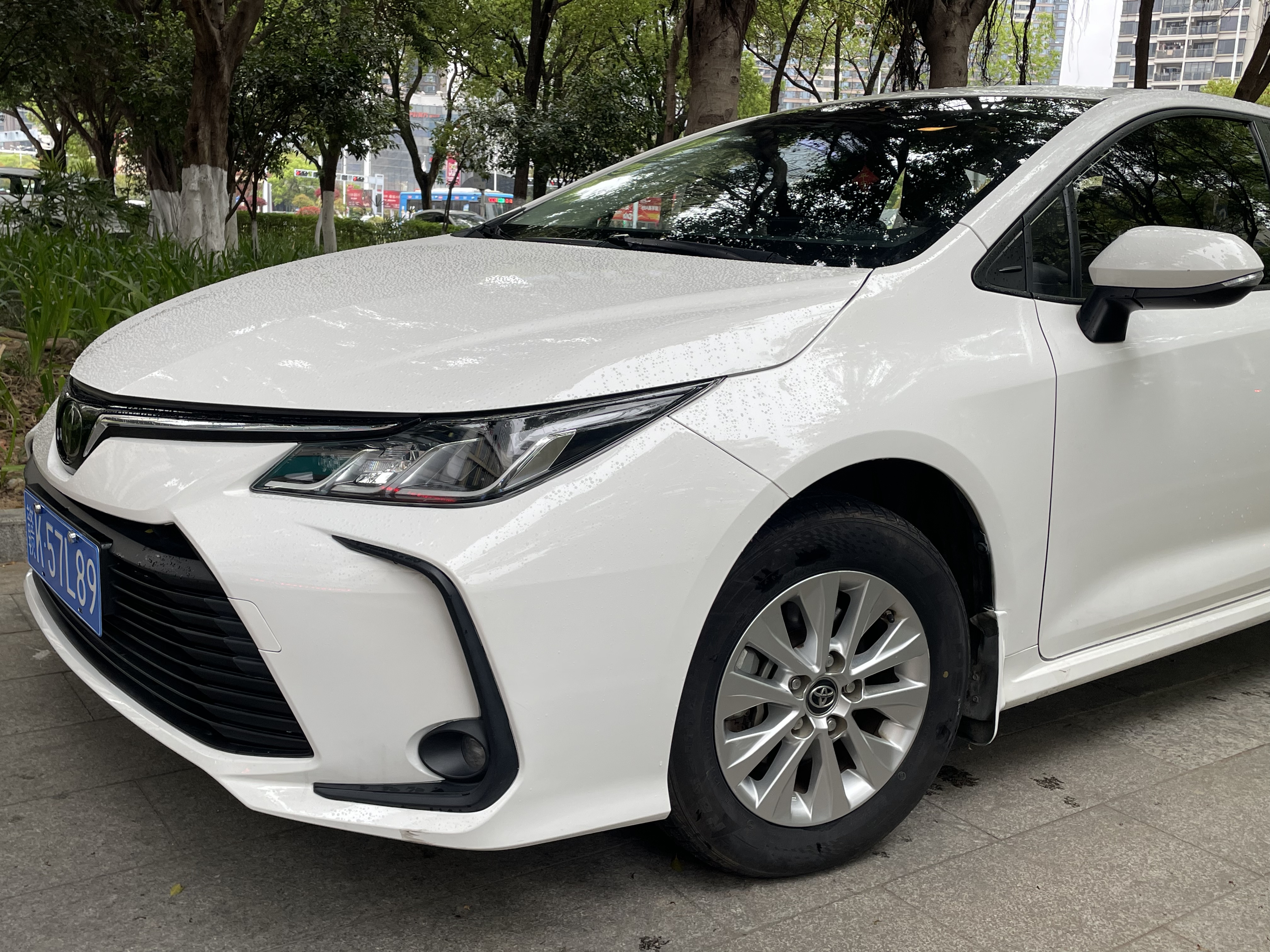Corolla 2021 car image #13