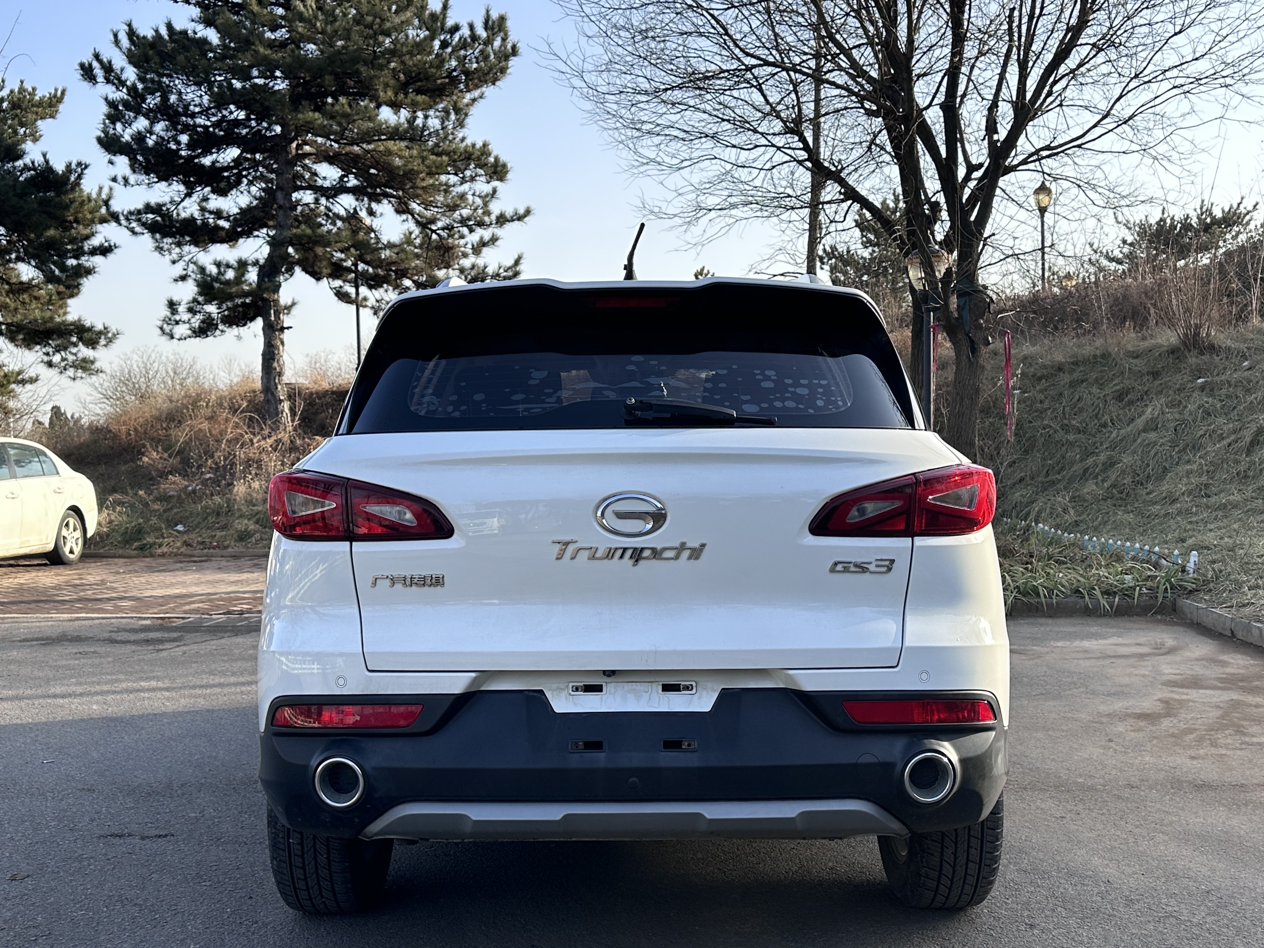 GAC Trumpchi GS3 2019 car image #13