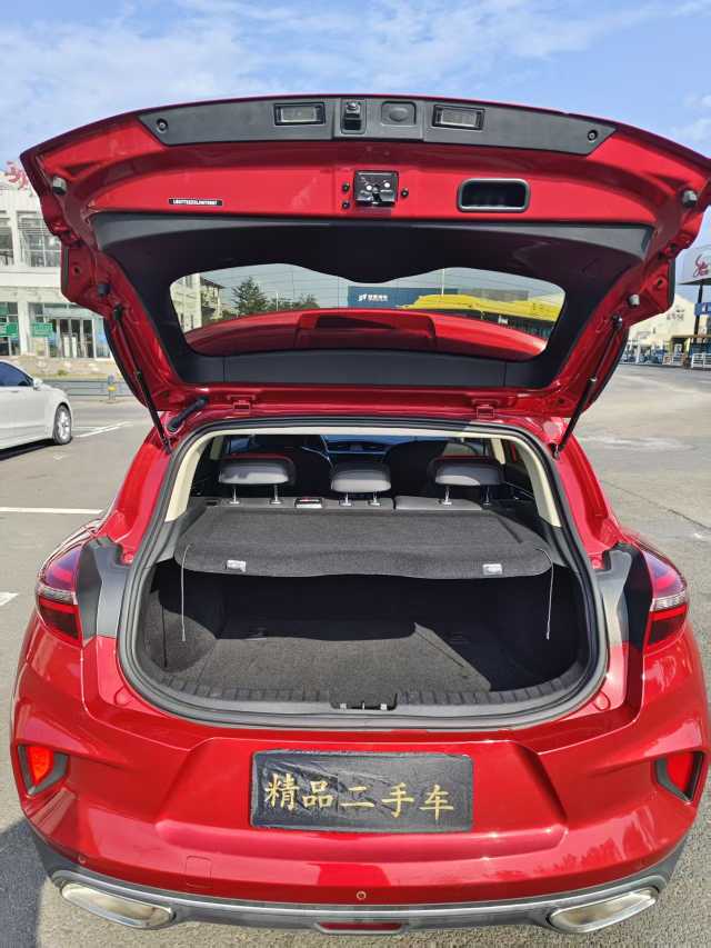 Emgrand GS 2020 #13 Emgrand GS 2020 car image #13