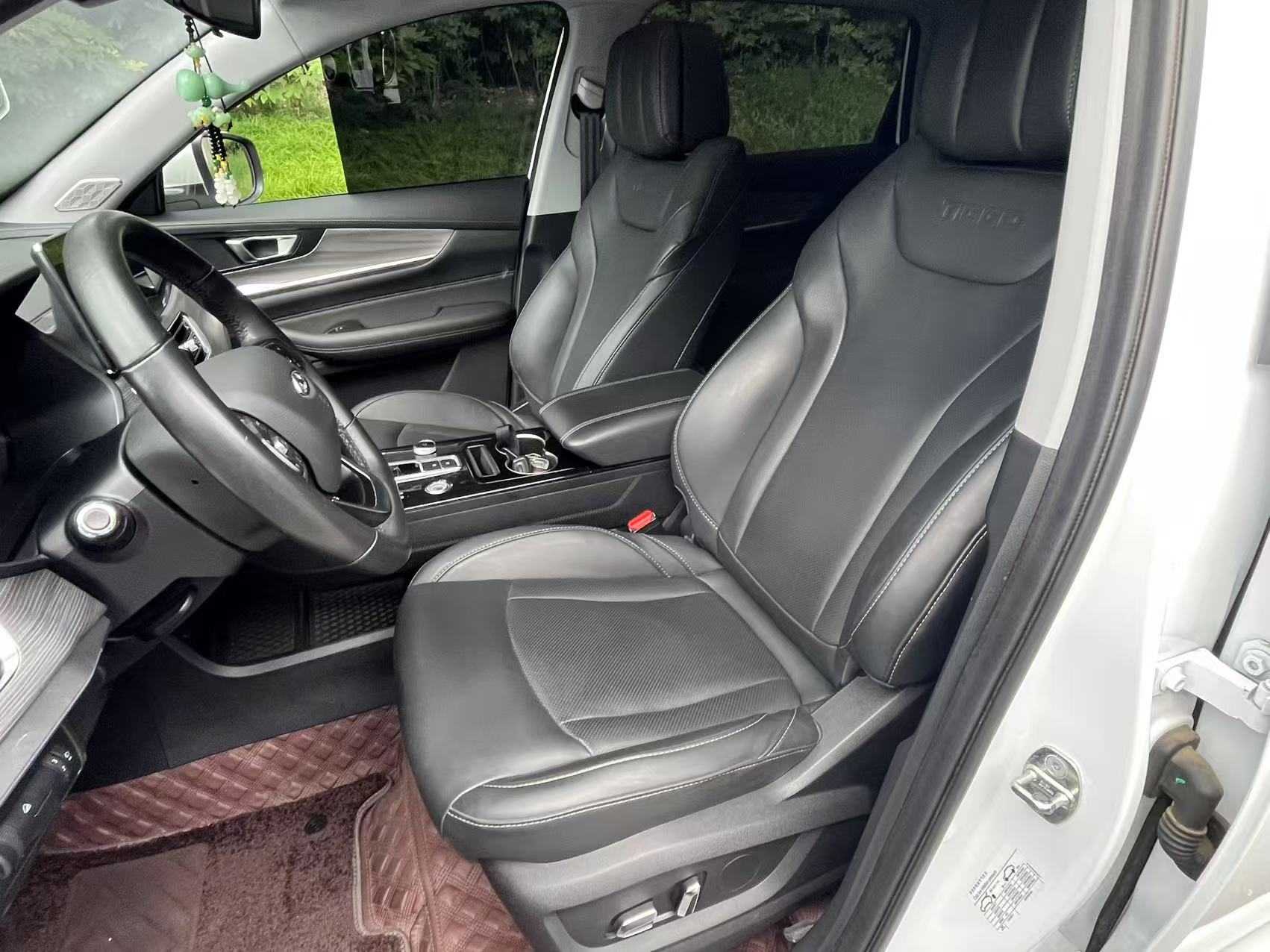 Chery Tiggo8 PLUS C-DM 2021 immagine di auto #13