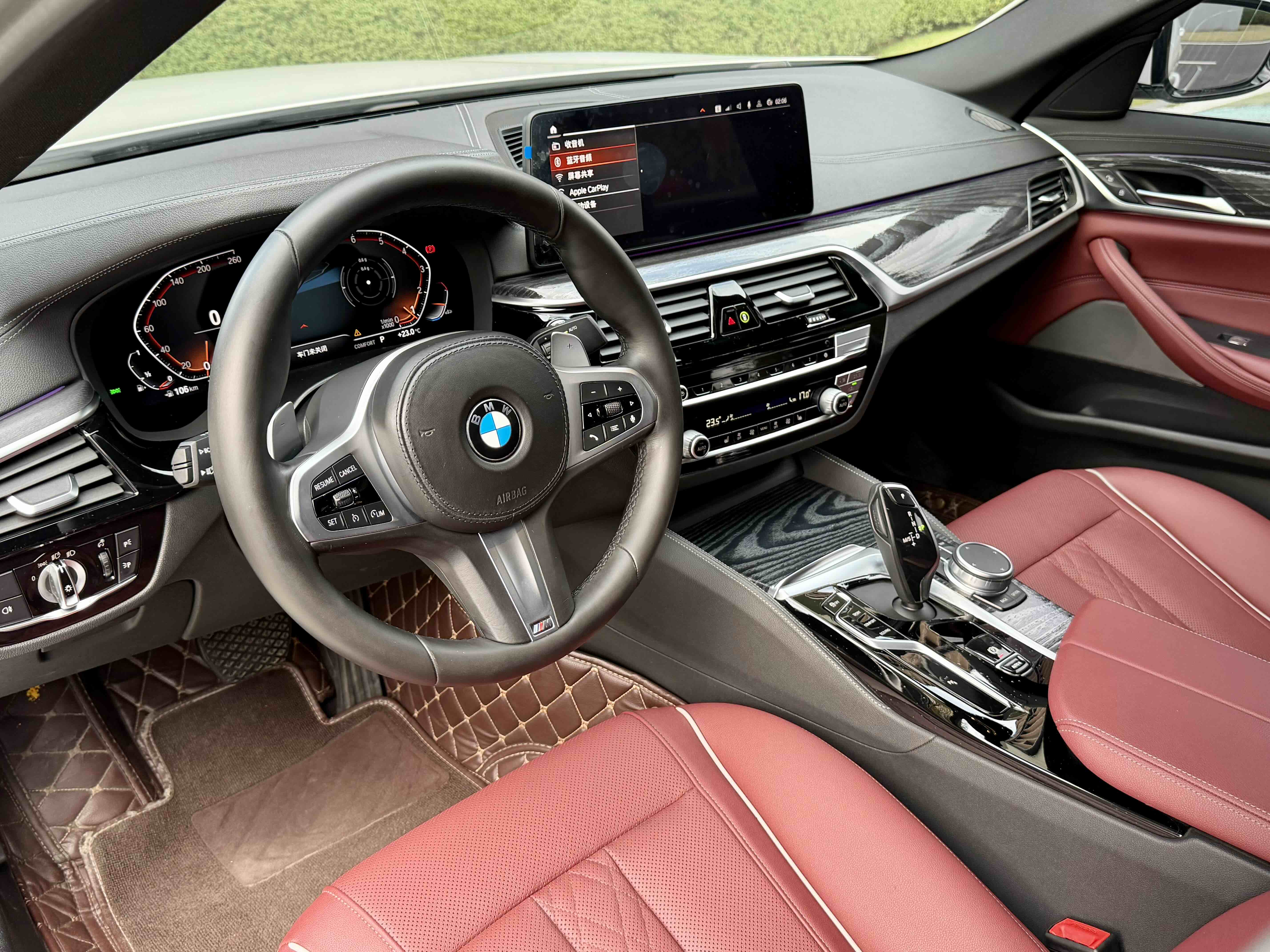 BMW 5 Series 2021 car image #13