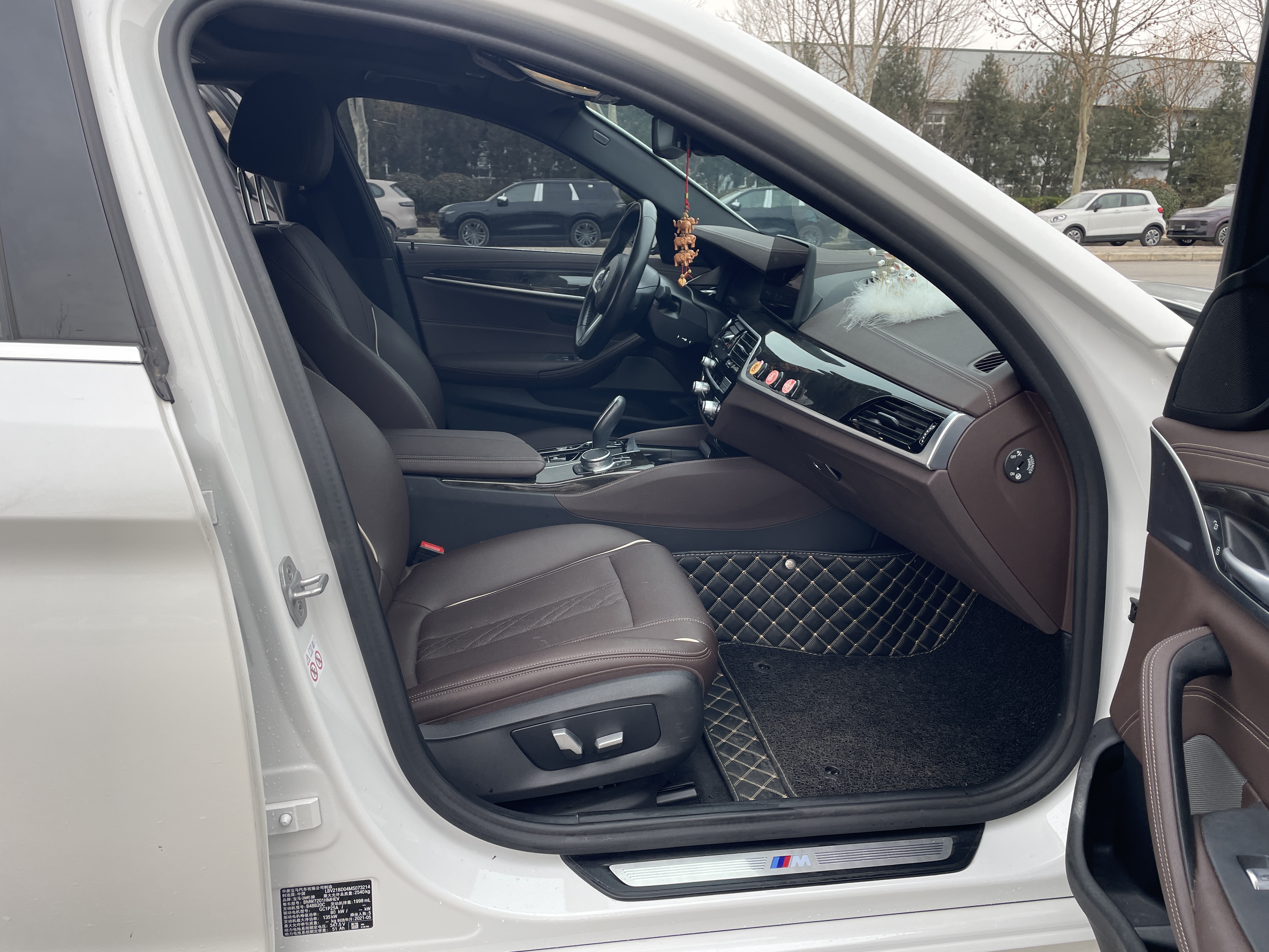 BMW 5 Series New Energy 2021 car image #13