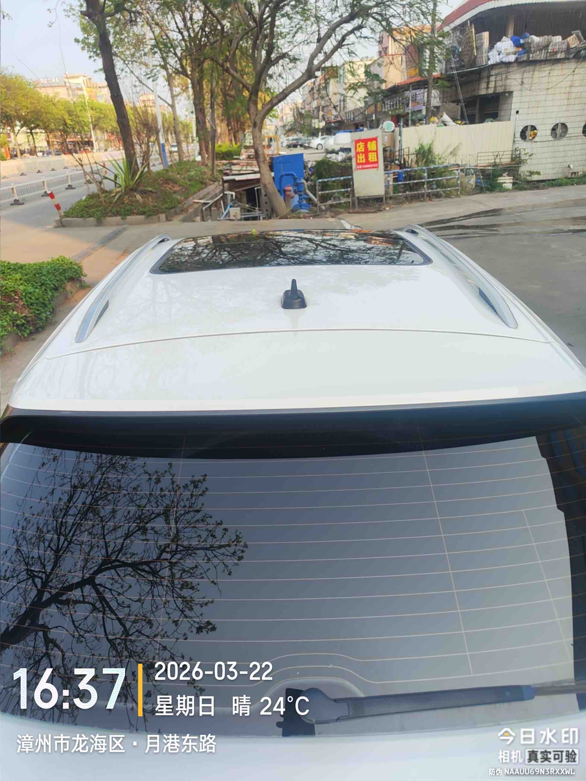 T-Roc 2021 car image #13