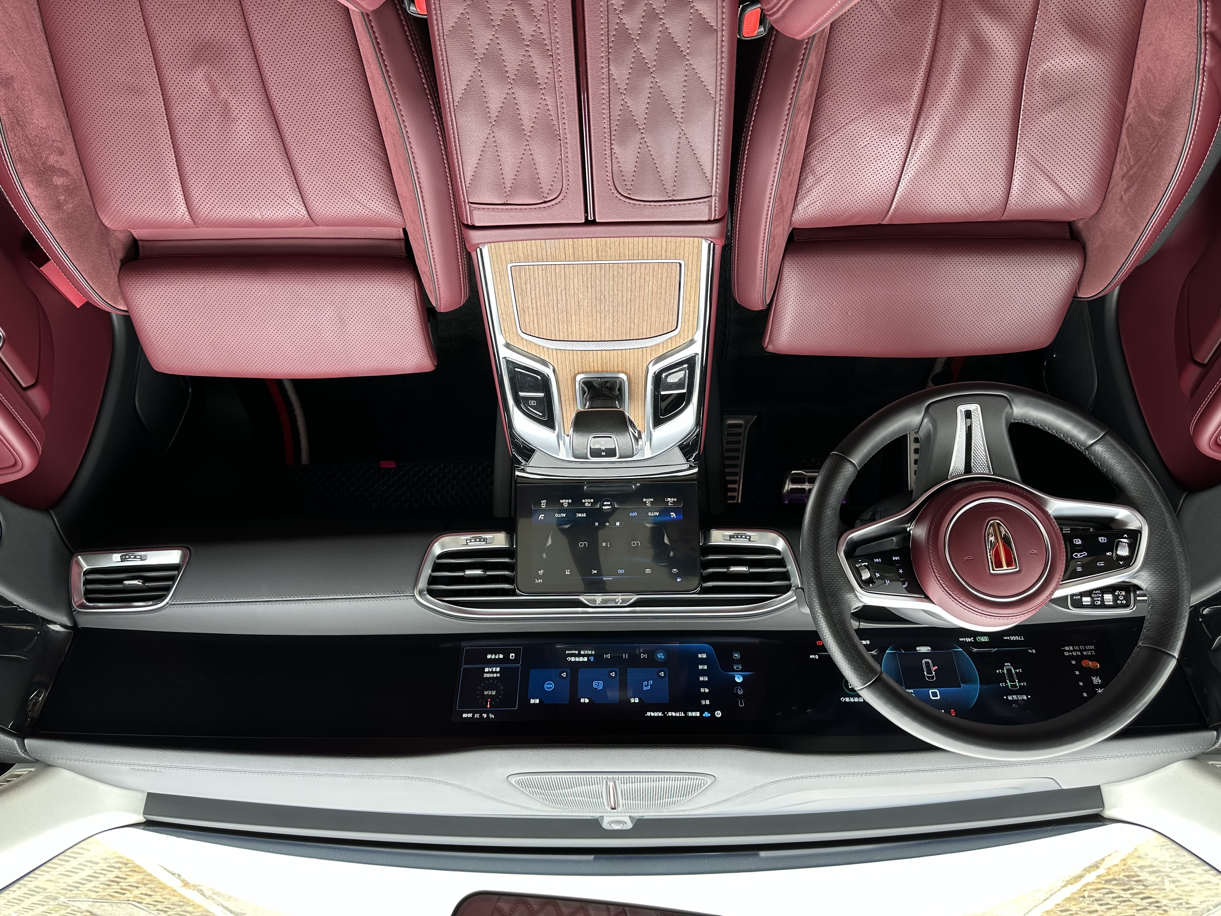 HongQi E-HS9 2021 #13 HongQi E-HS9 2021 immagine di auto #13