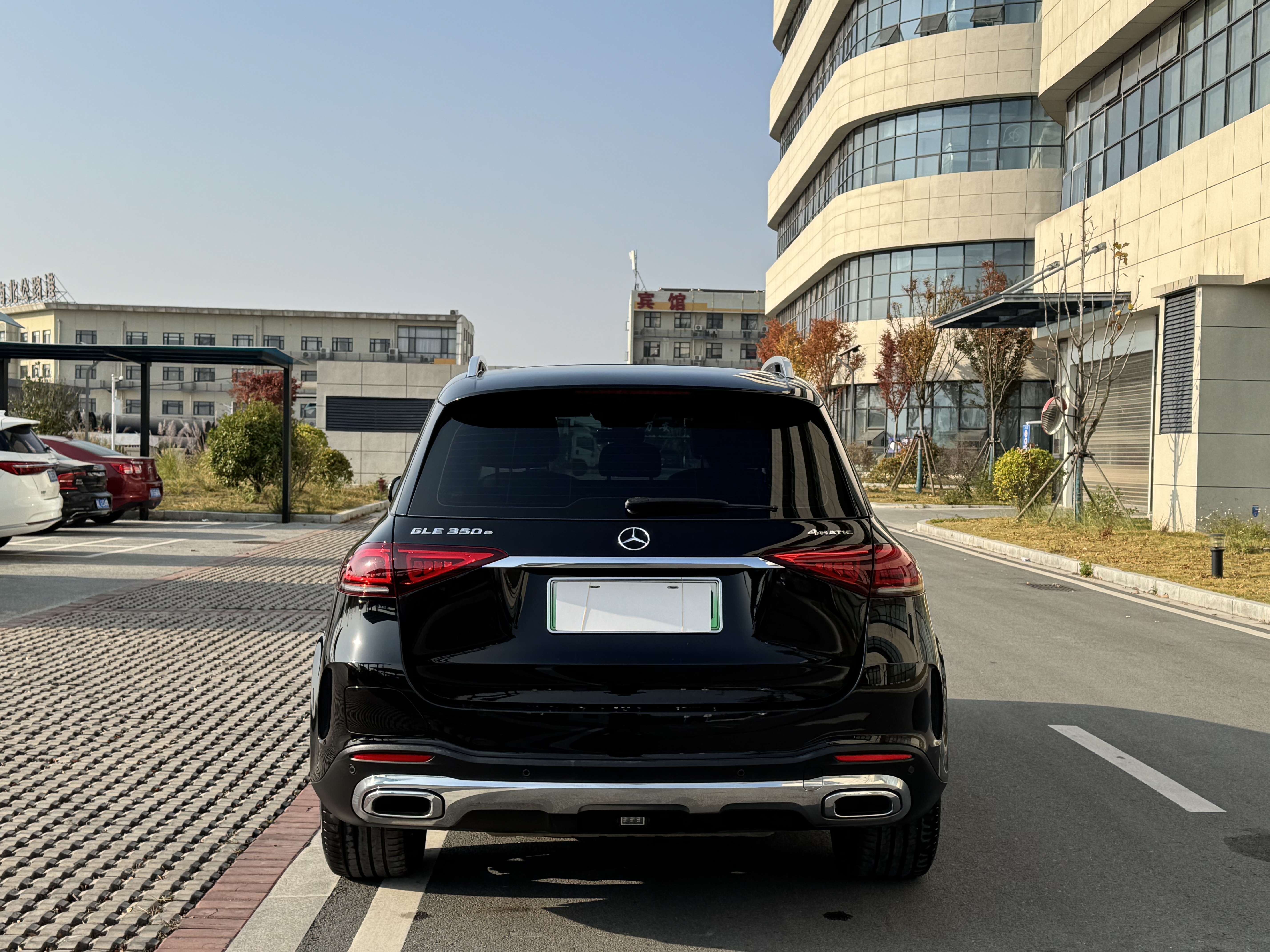 Mercedes-Benz GLE Class New Energy 2021 car image #13