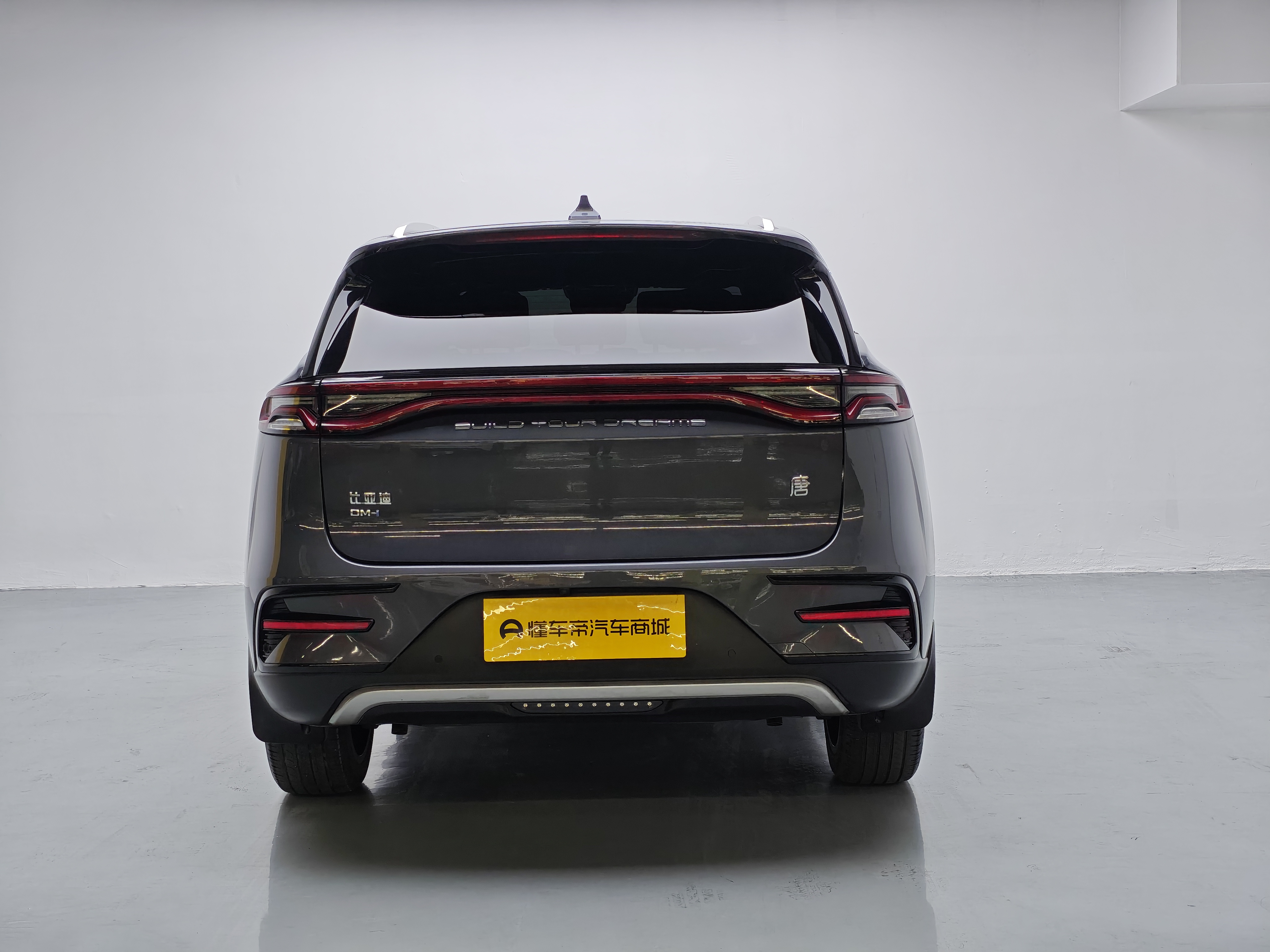 BYD Tang New Energy 2022 #13 BYD Tang New Energy 2022 car image #13