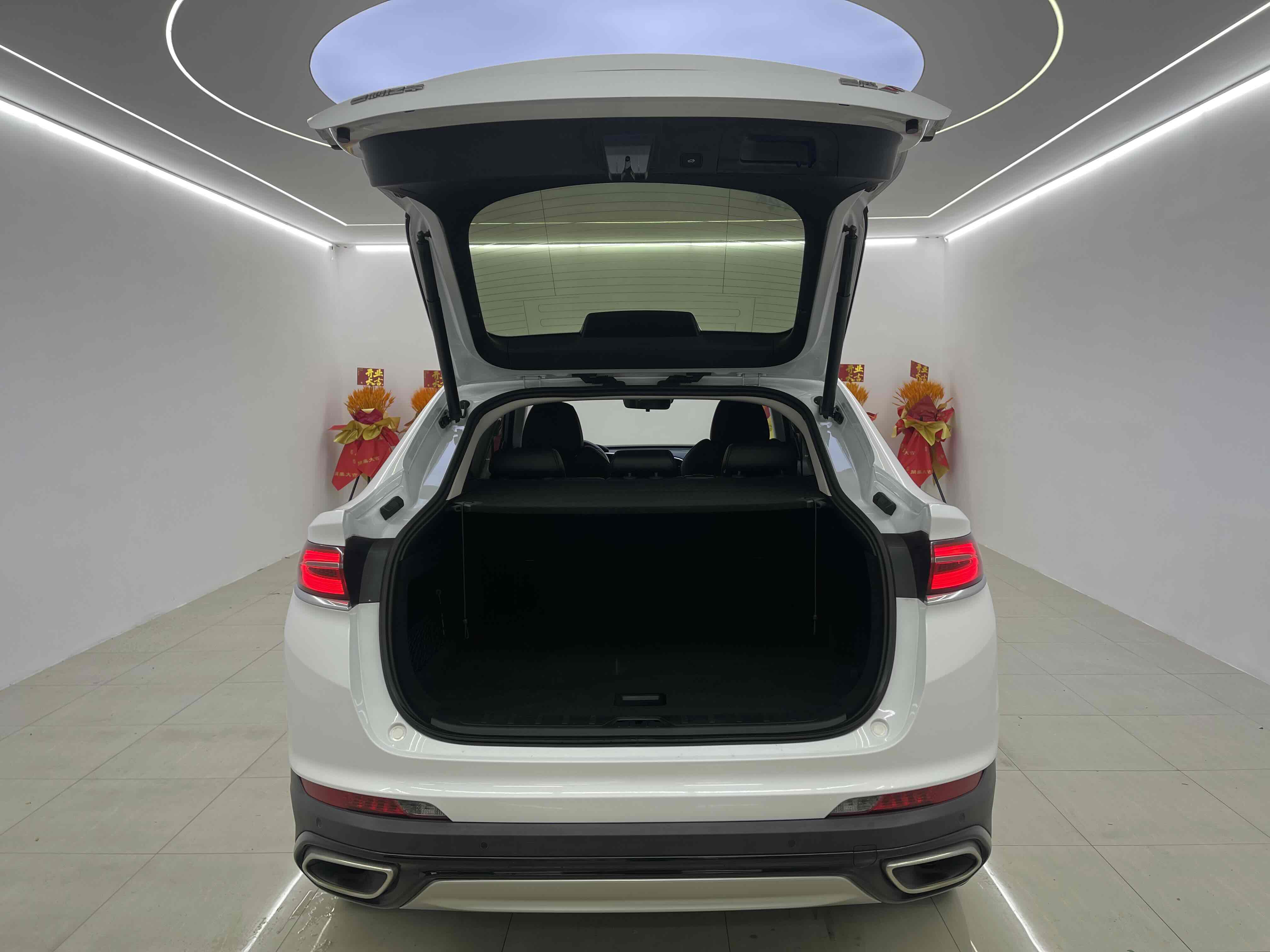 GEELY Tugella S 2022 immagine di auto #13