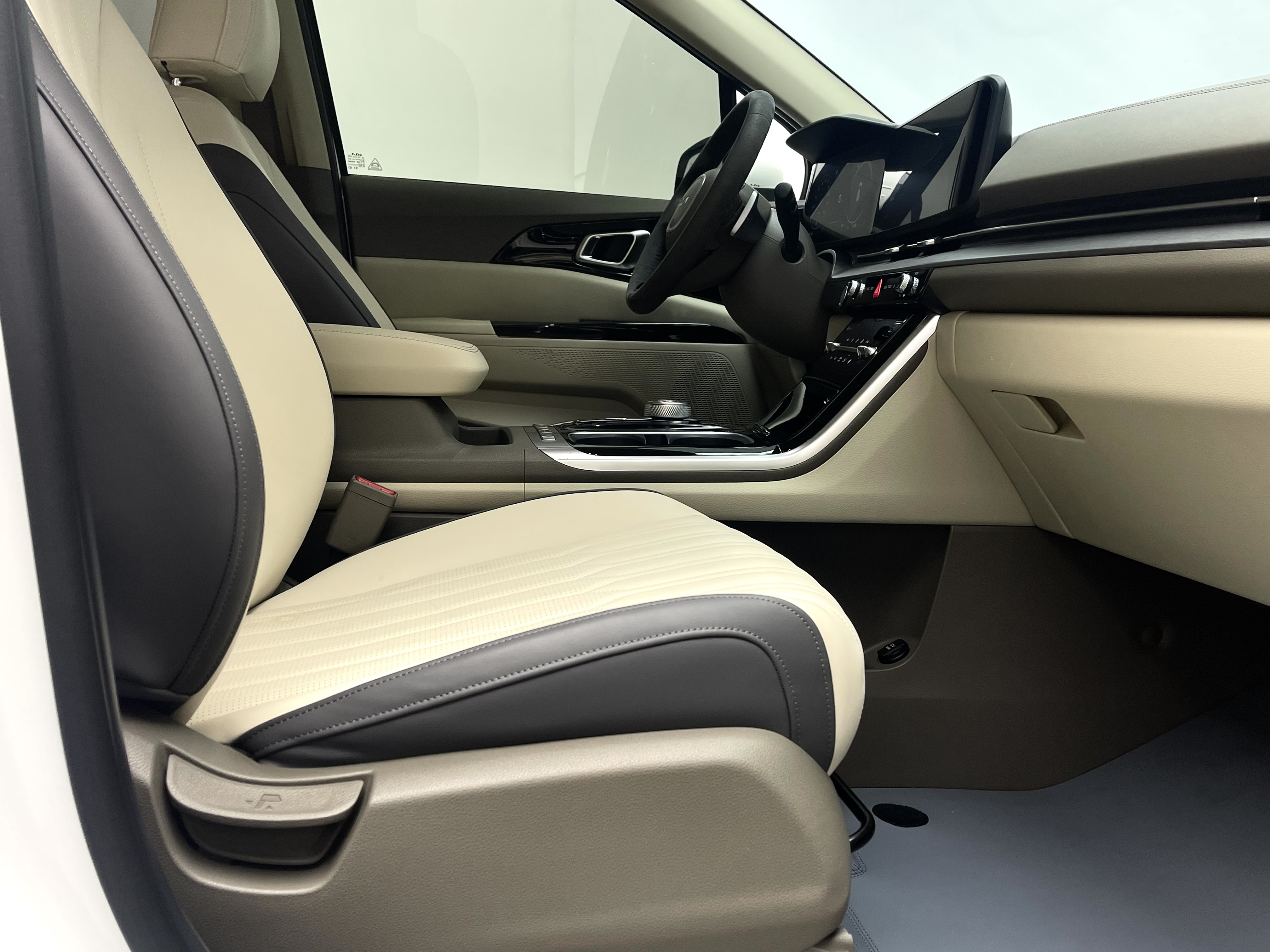 Kia Carnival 2024 immagine di auto #13