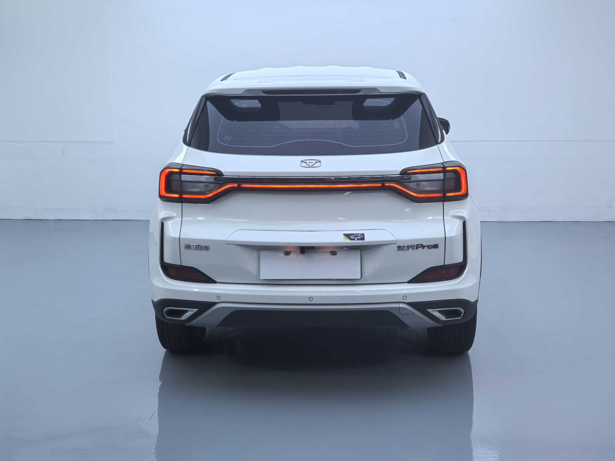 Showjet Pro EV 2022 car image #13