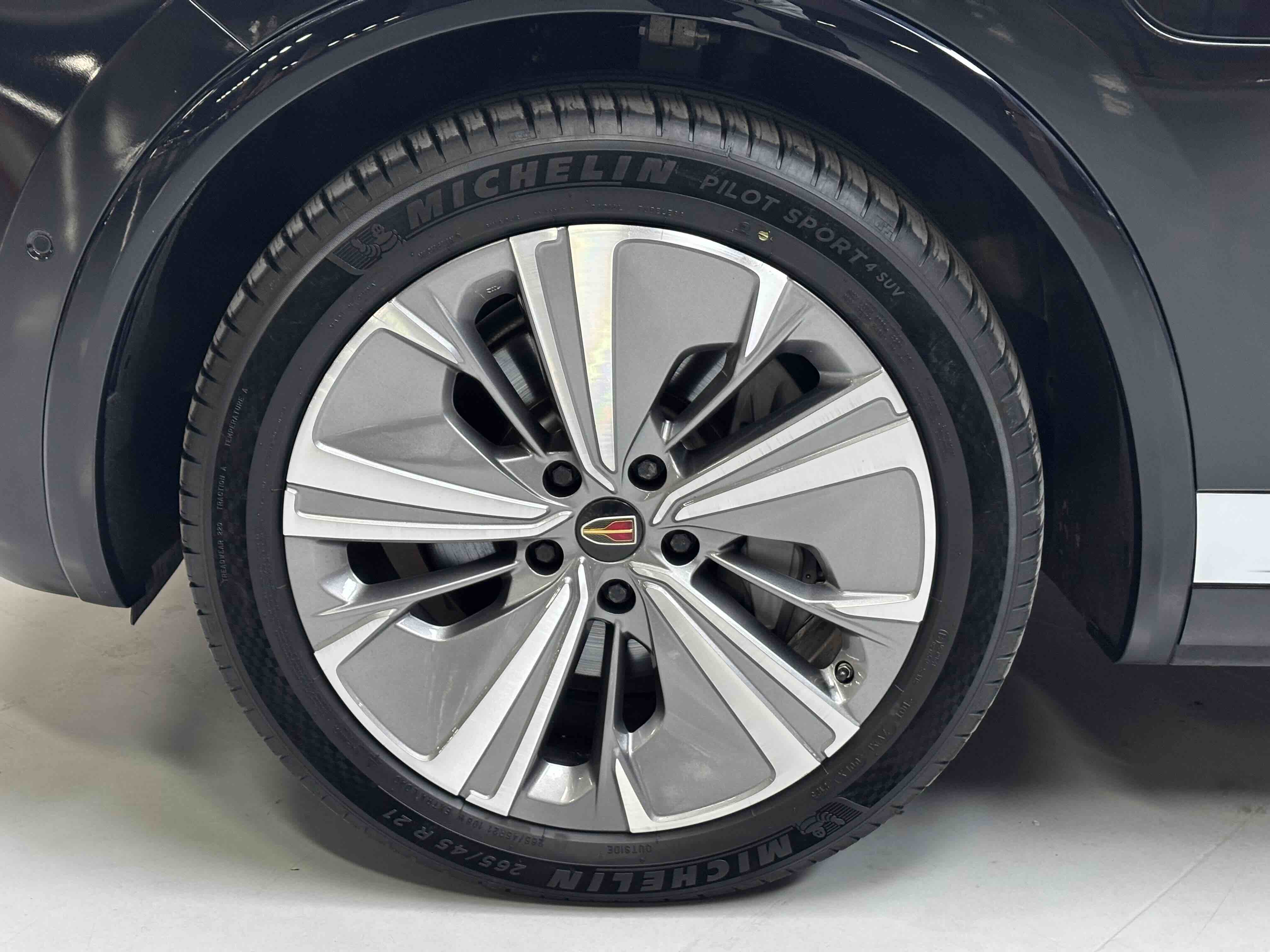 HongQi E-HS9 2023 imagem de carro #13