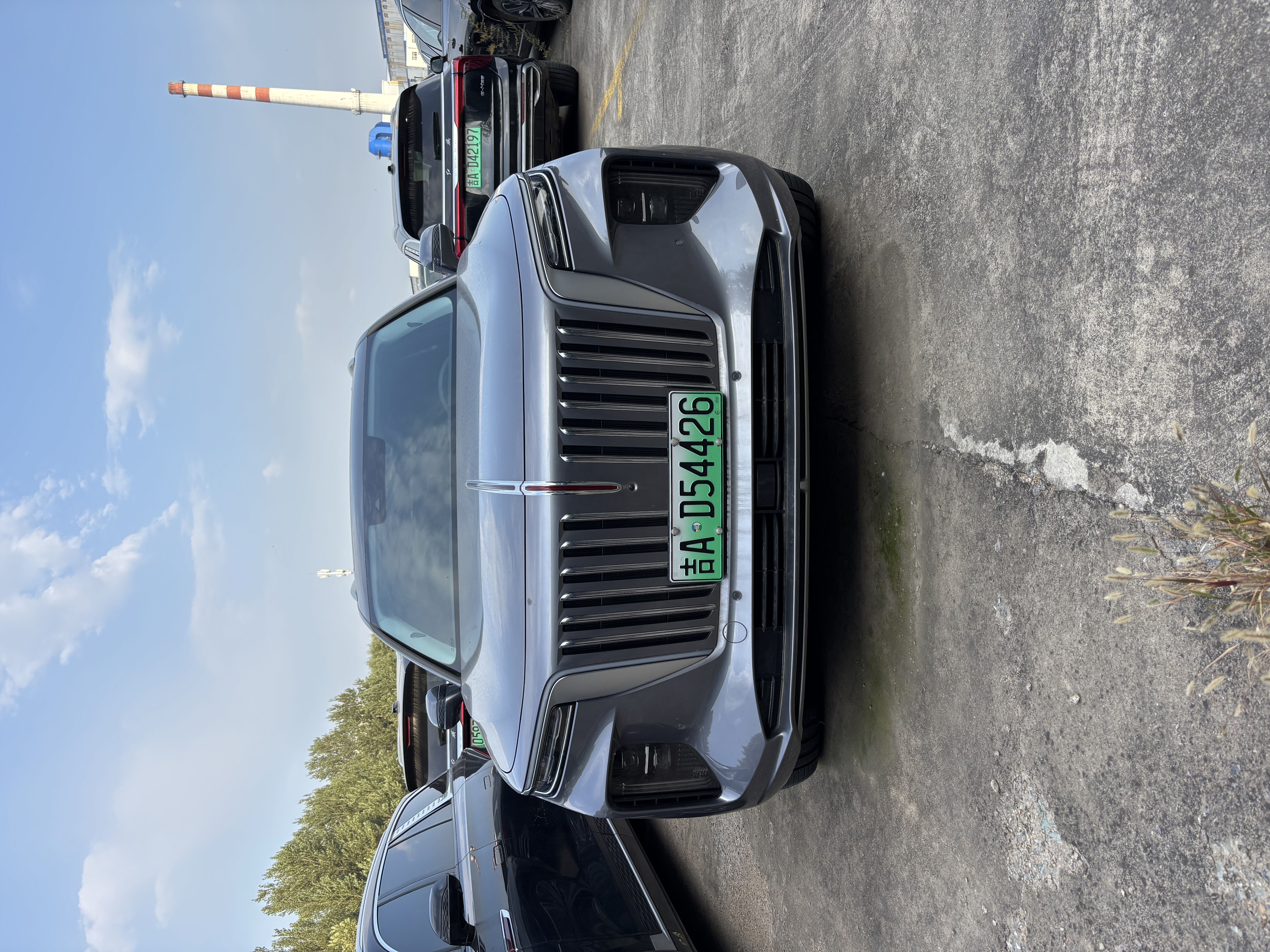 HongQi E-HS9 2023 #13 HongQi E-HS9 2023 car image #13