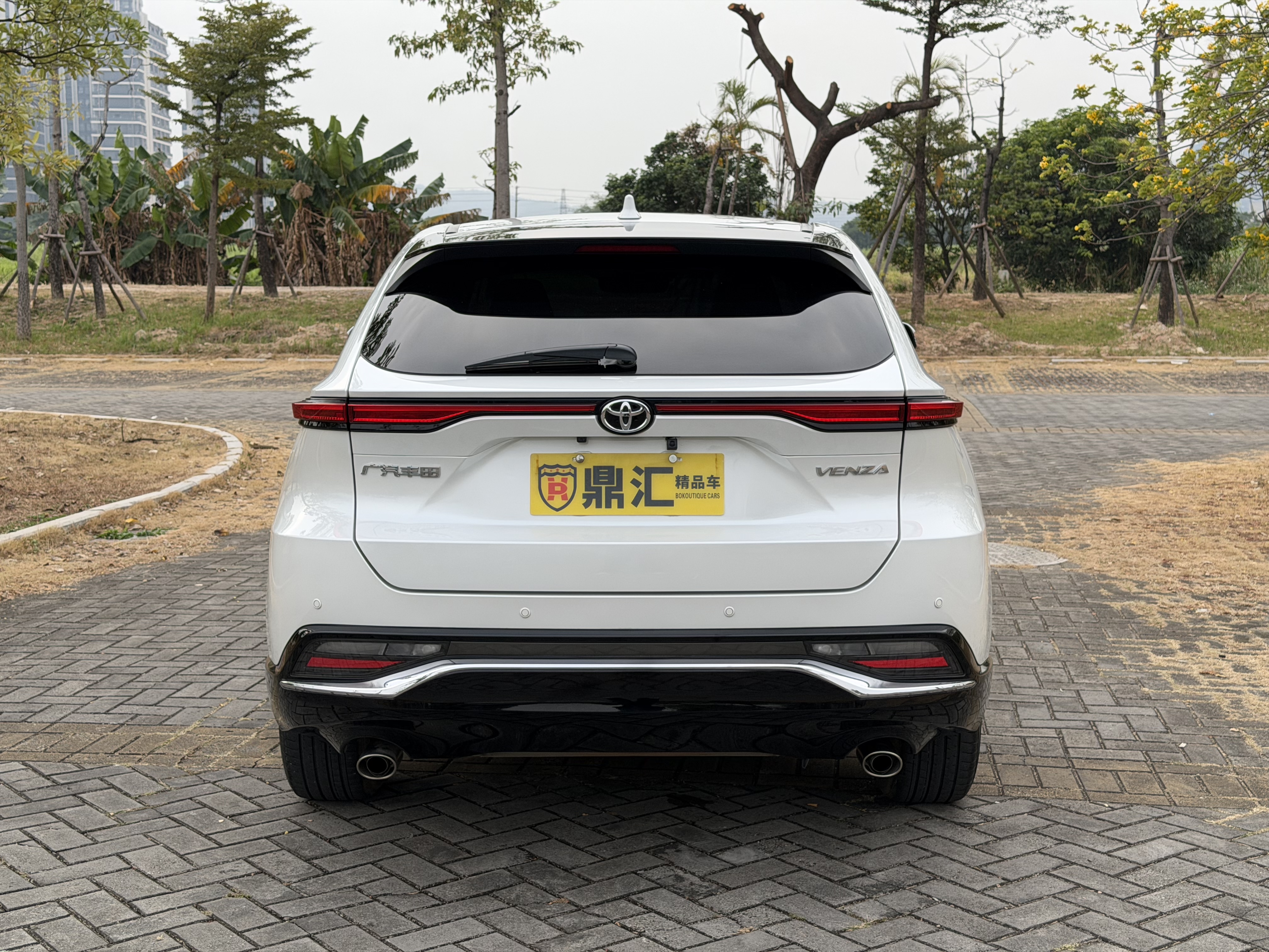 Toyota Venza 2023 immagine di auto #13