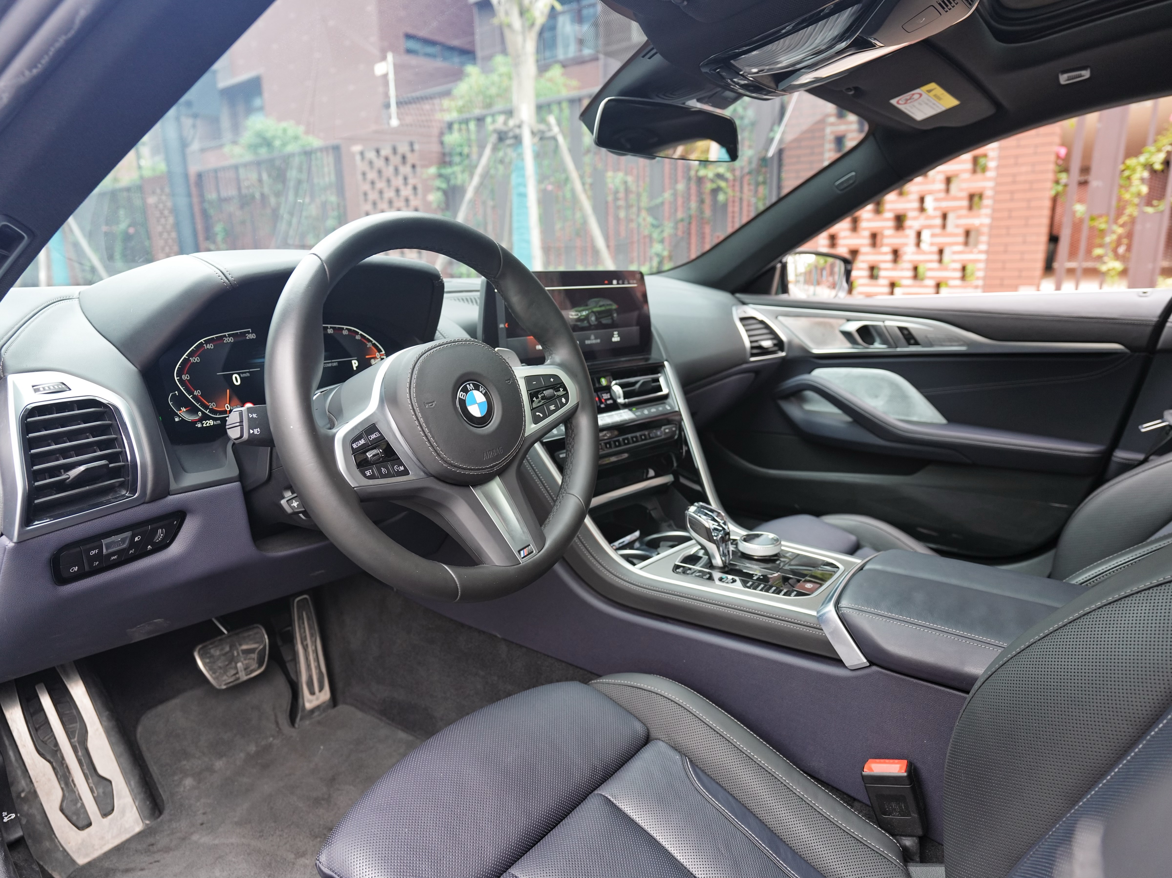 BMW 8 Series 2024 car image #13