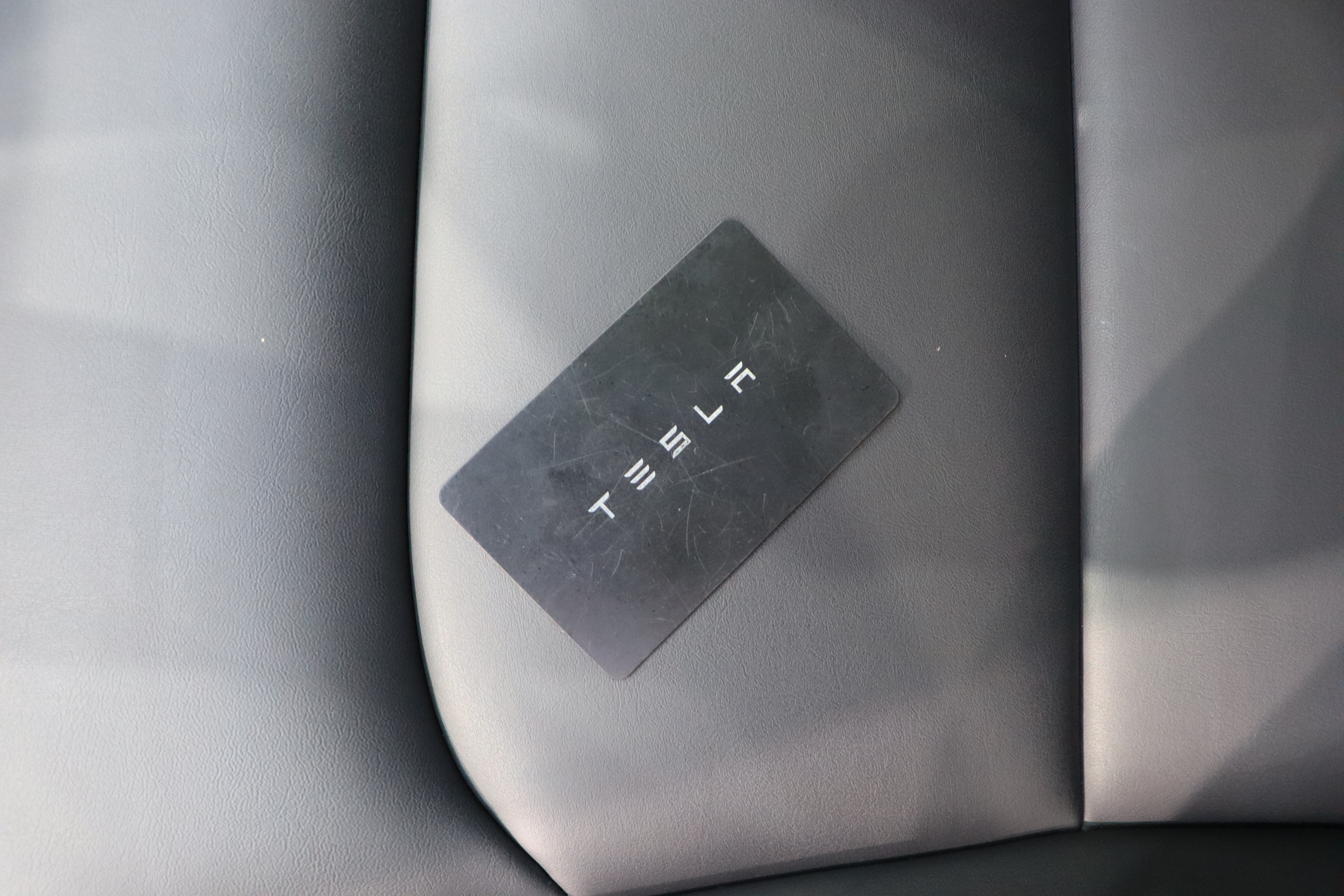 Tesla Model Y 2023 #13 Tesla Model Y 2023 car image #13