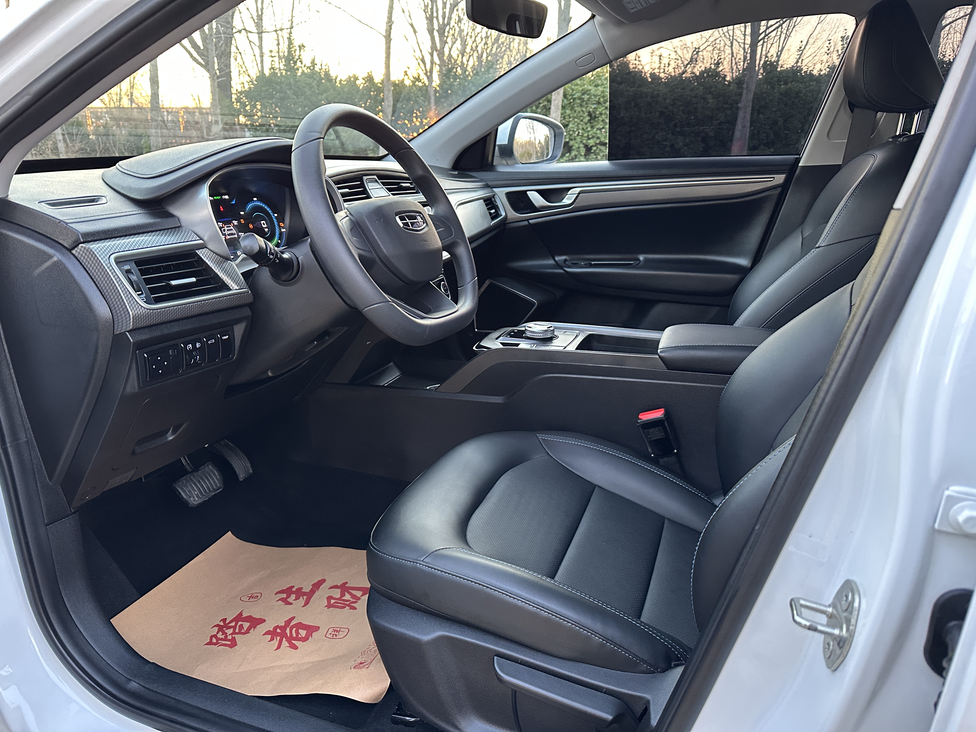 GEELY Emgrand New Energy 2024 car image #13