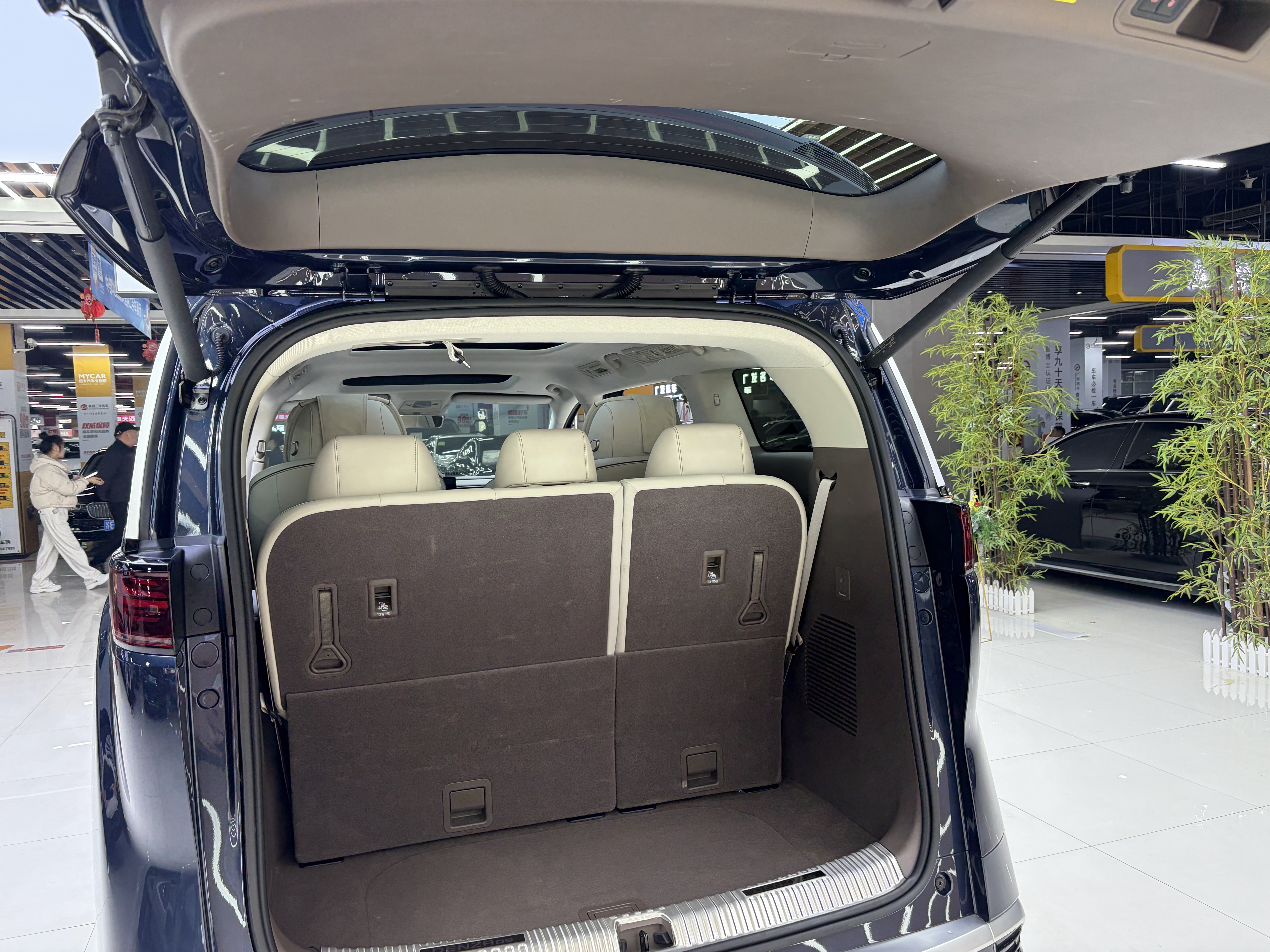 Denza D9 2023 صورة سيارة #13