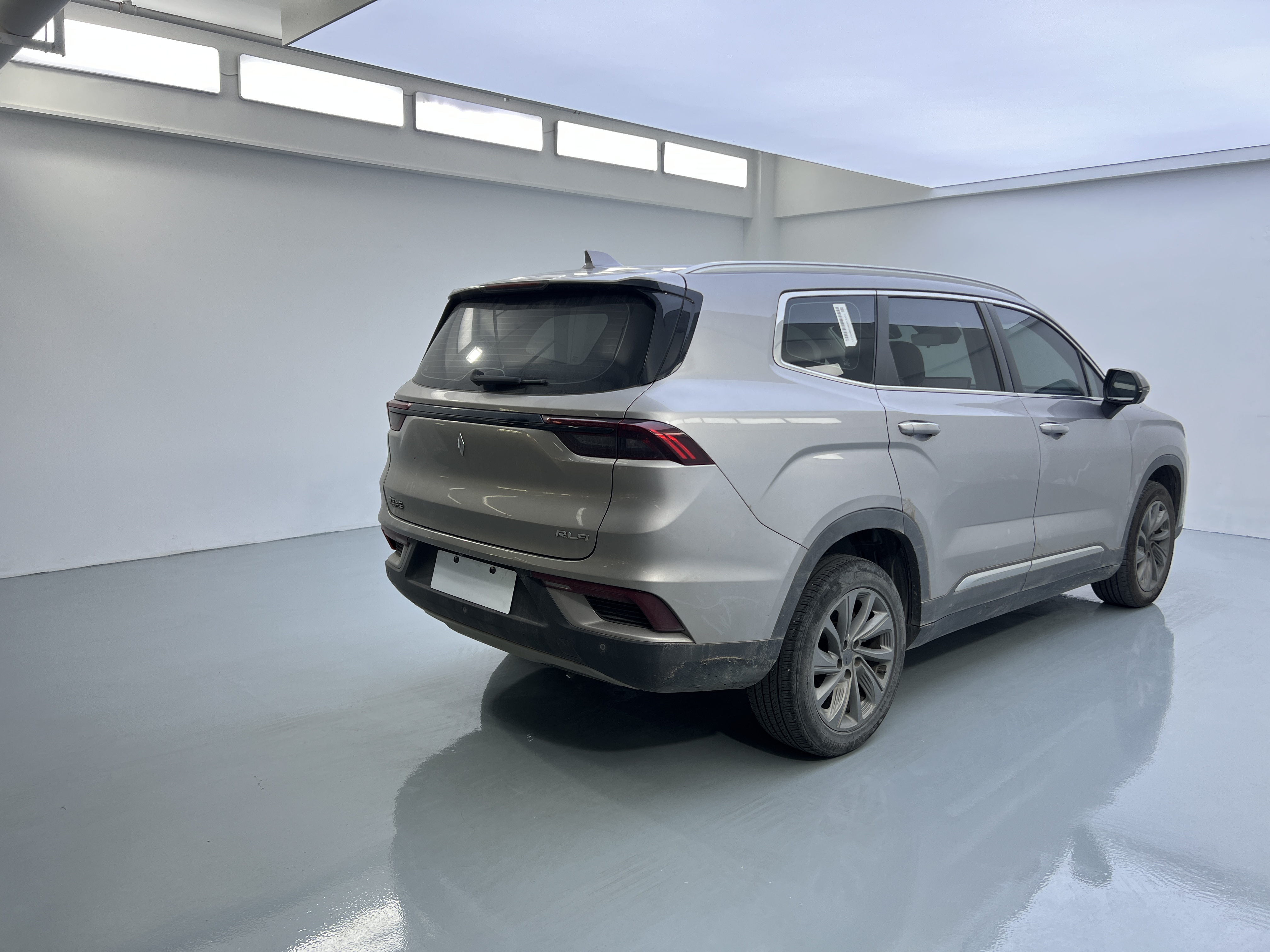 睿蓝汽车 睿蓝9 2023 汽车图片 #13