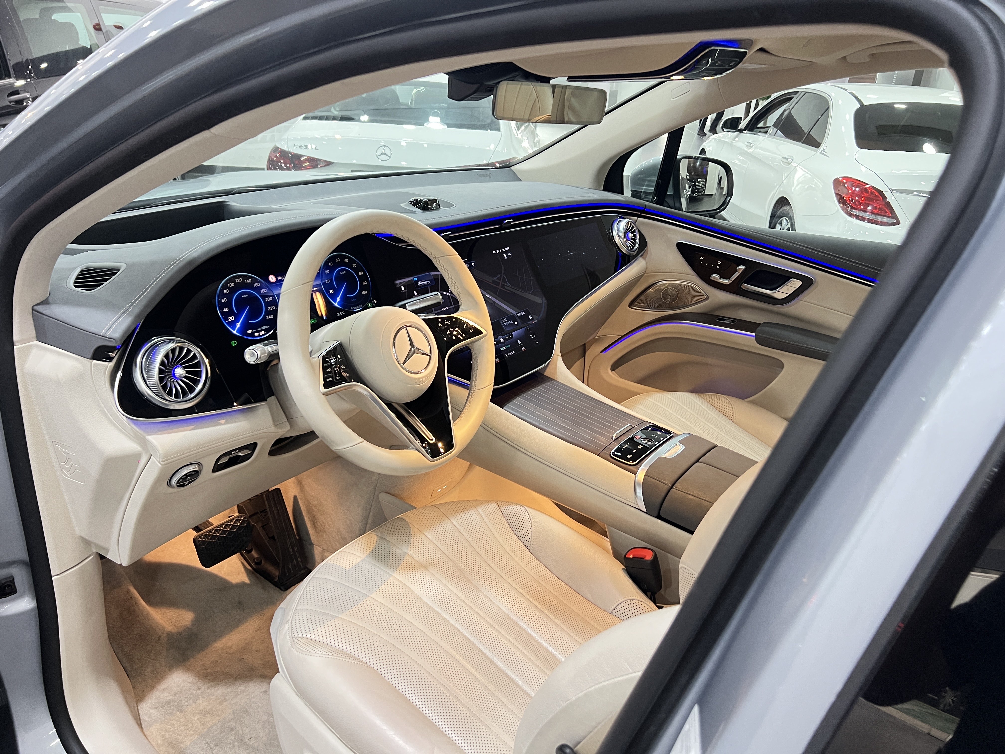 Mercedes-Benz EQS SUV 2023 car image #13