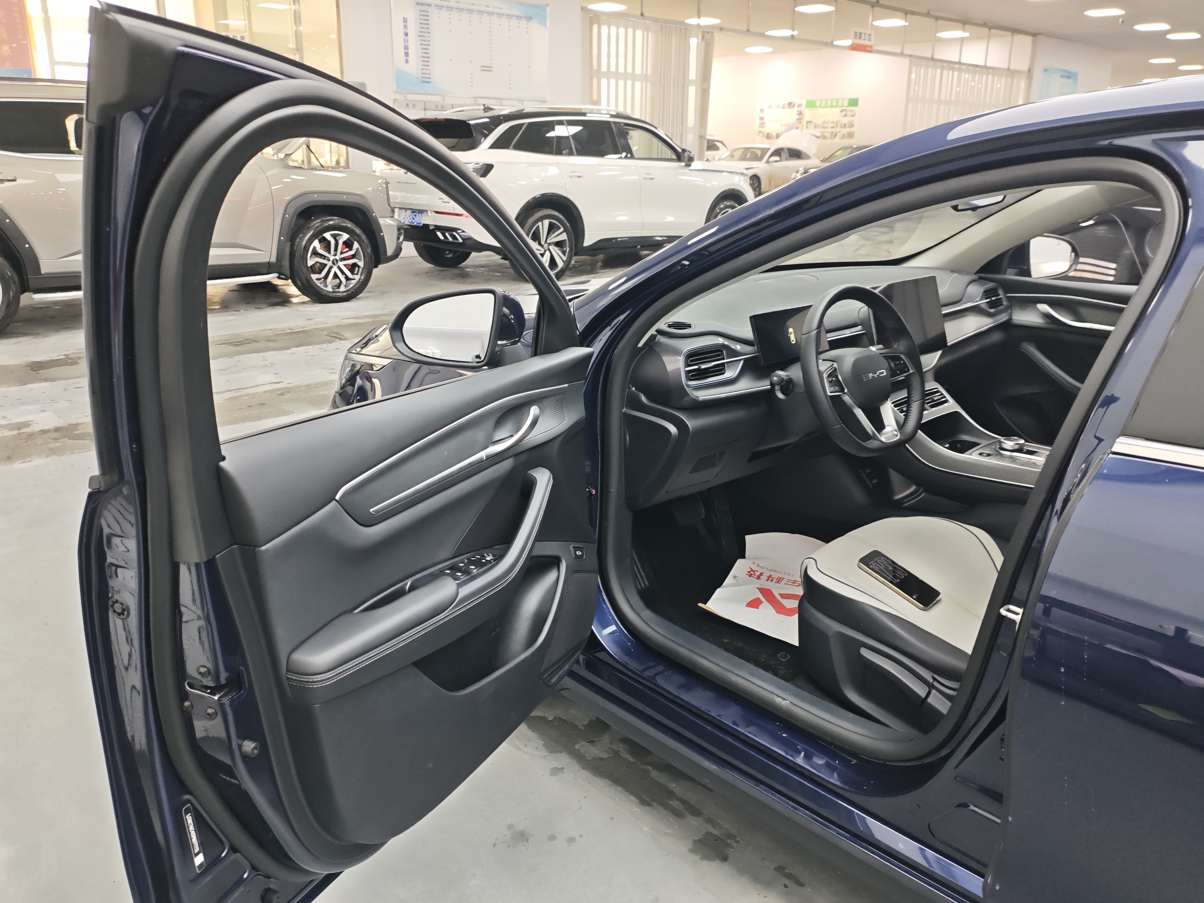 BYD Destroyer 05 2024 imagen de coche #13