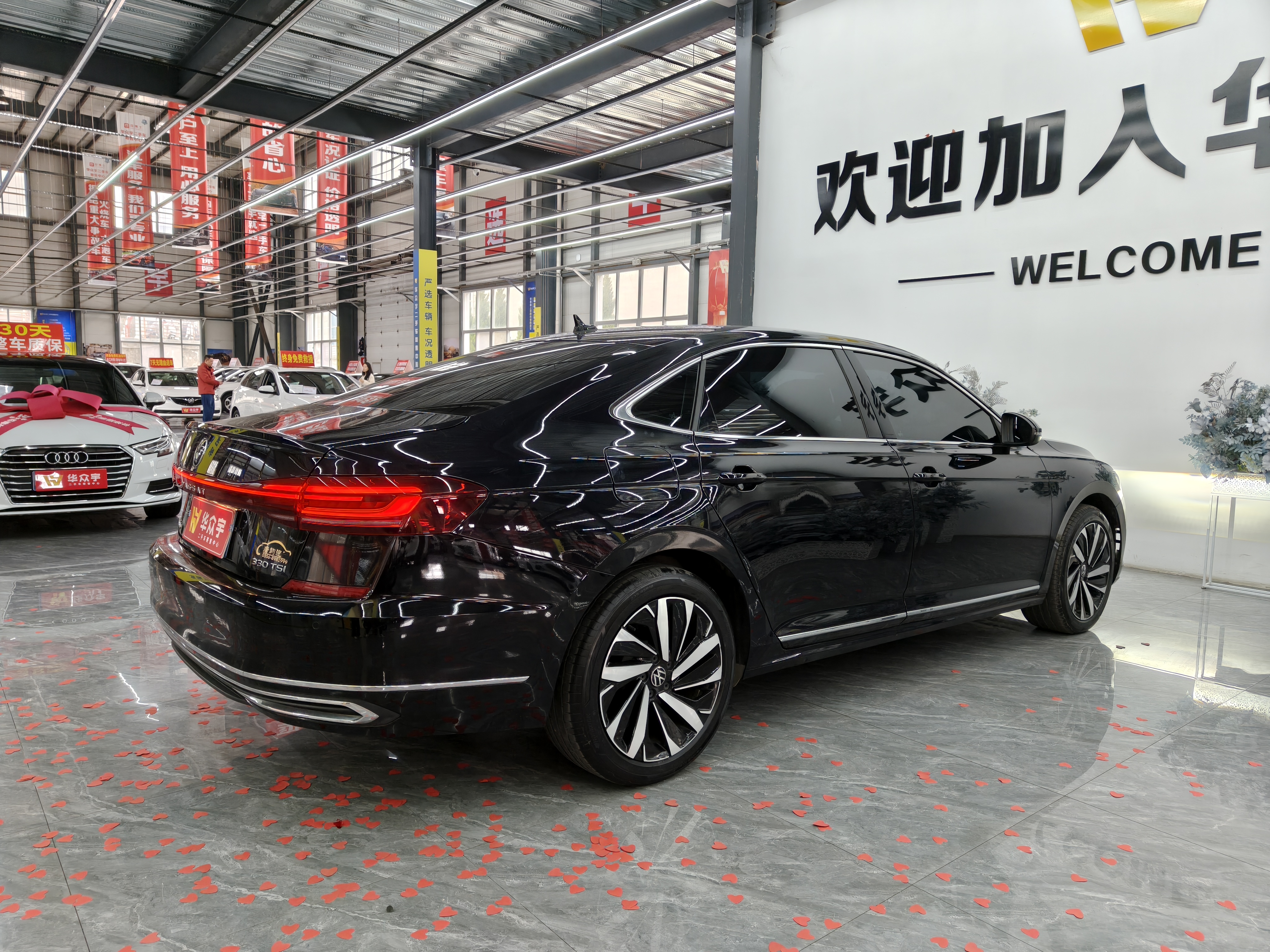 Volkswagen Passat 2024 car image #13