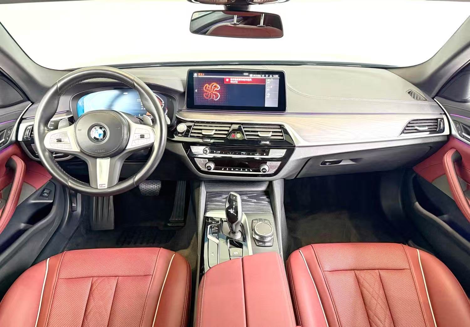 BMW 5 Series 2023 immagine di auto #13