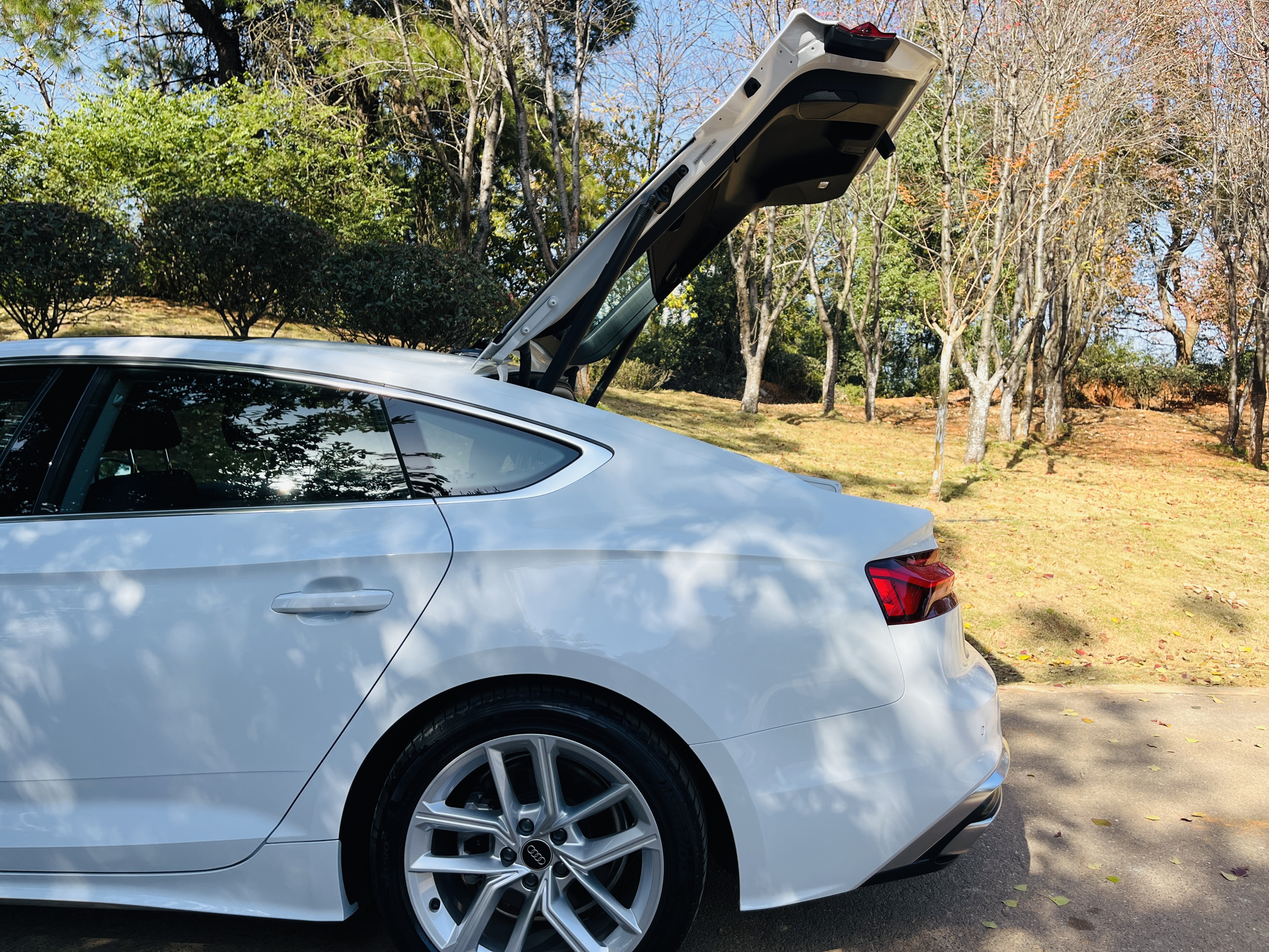Audi A5 (Imported) 2024 car image #13