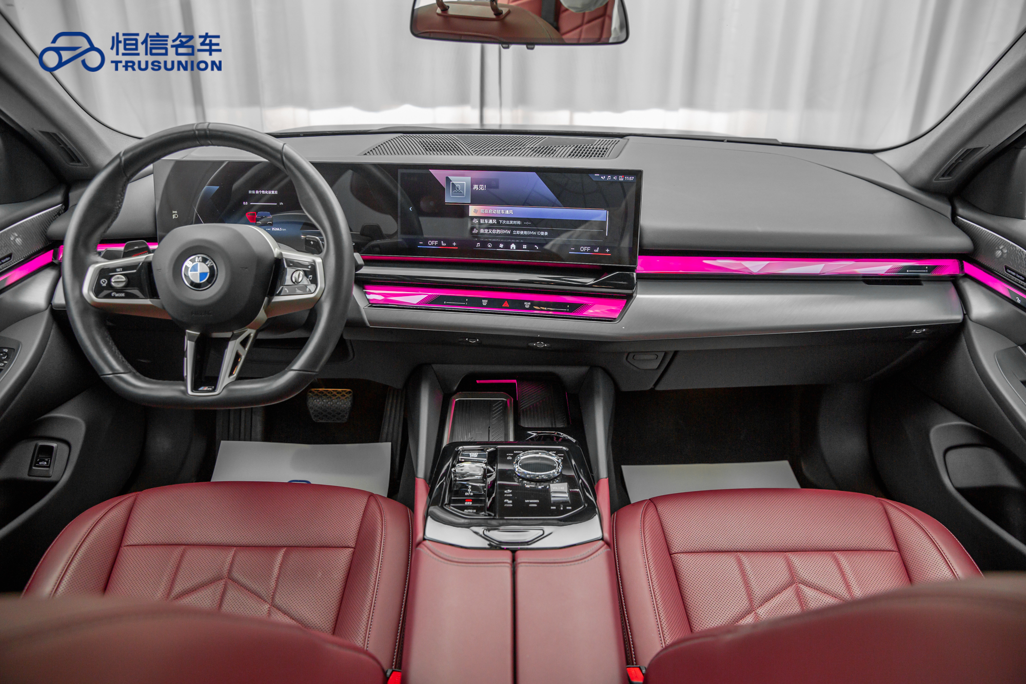 BMW 5 Series 2024 car image #13