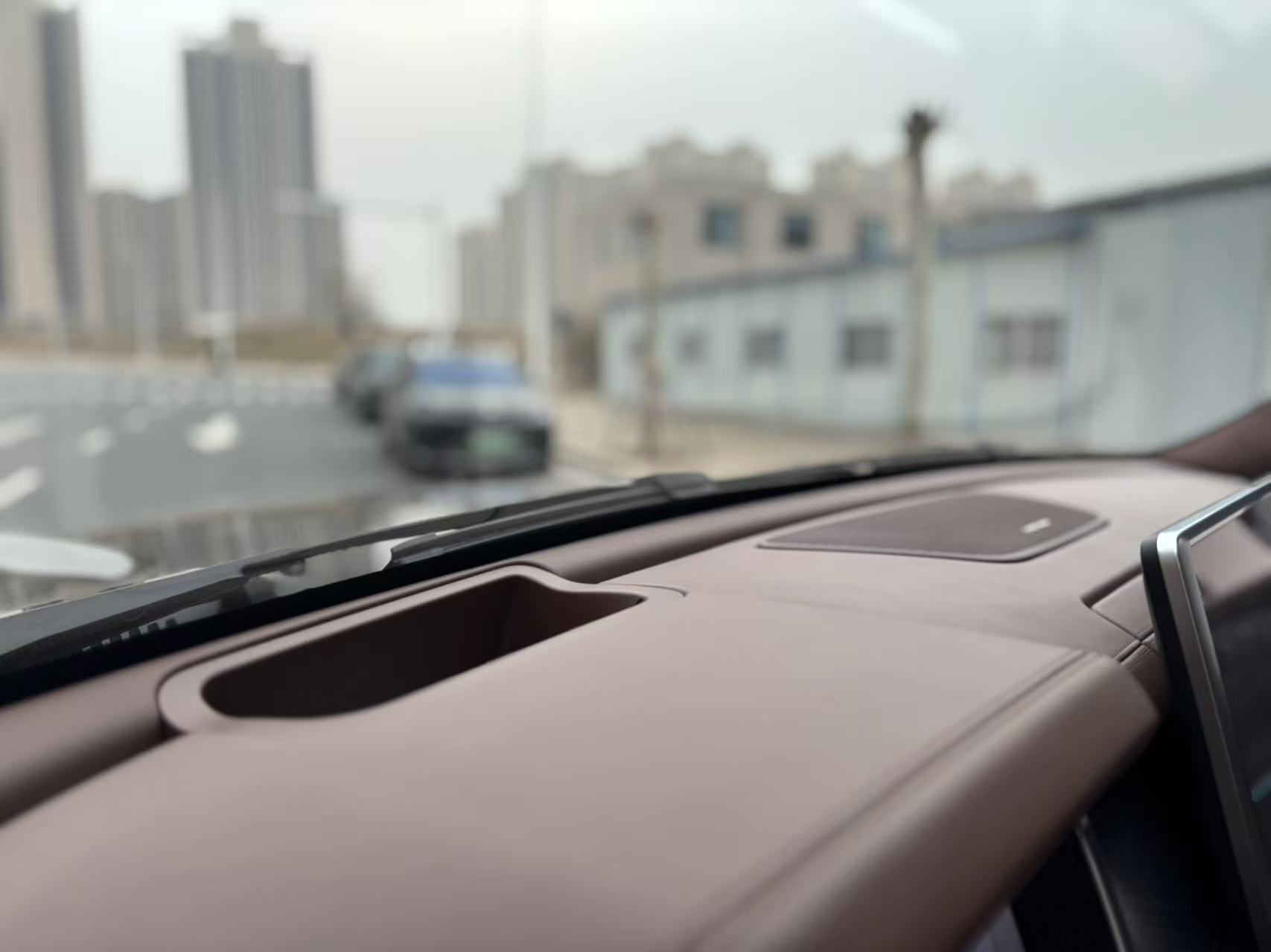 Tank 700 New Energy 2024 immagine di auto #13