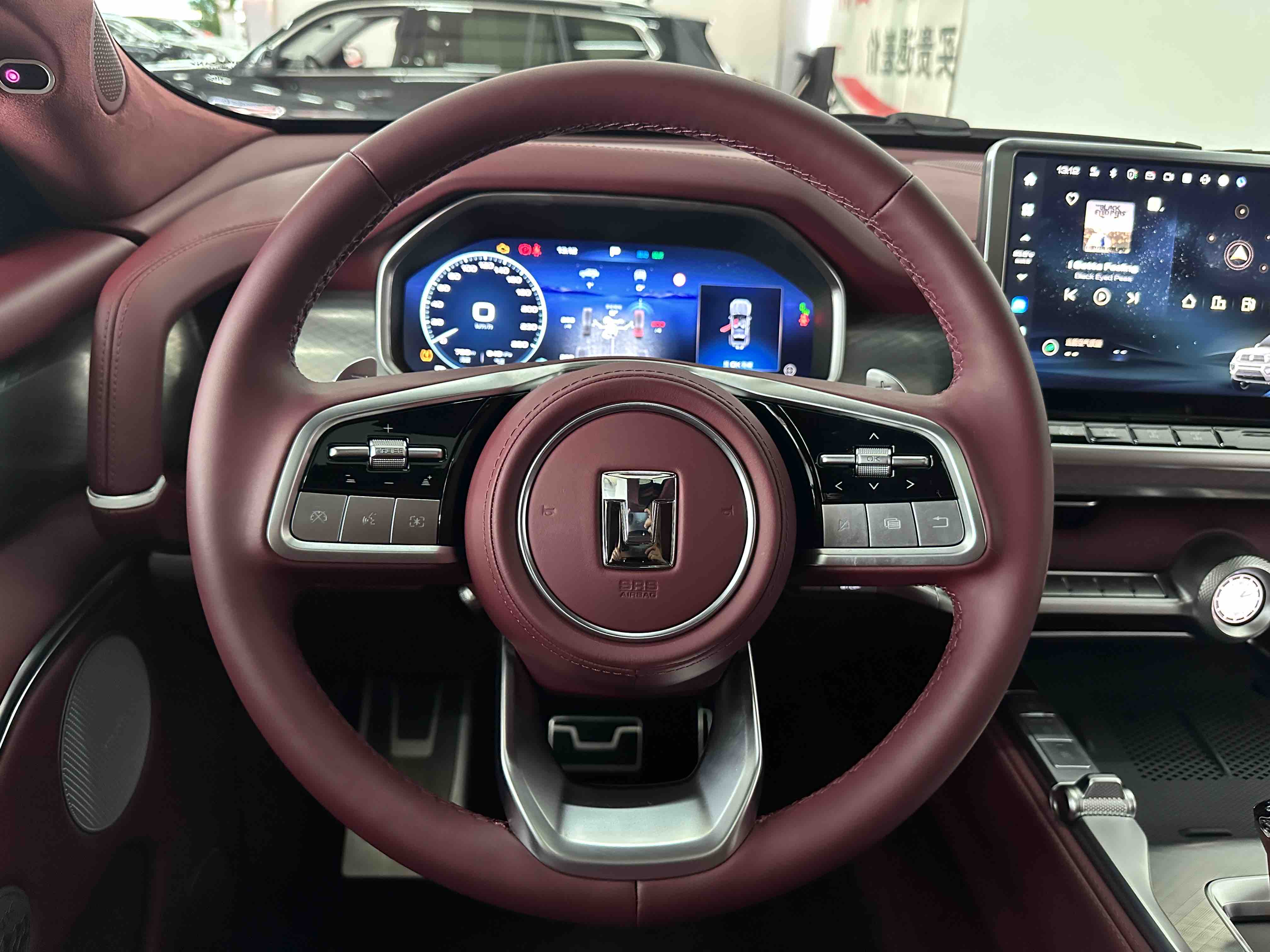 Tank 700 New Energy 2025 image de voiture #13