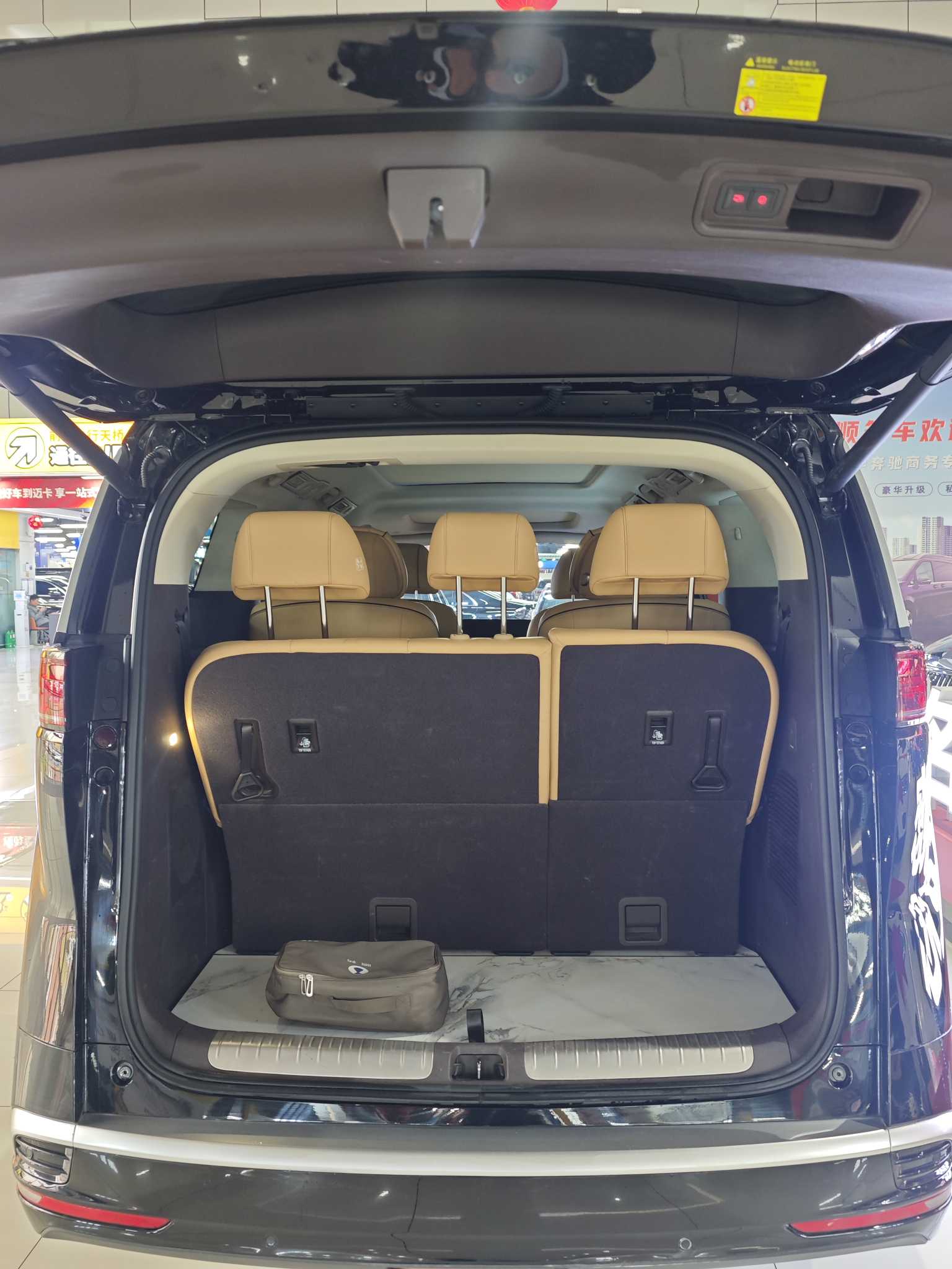 Denza D9 2025 imagem de carro #13