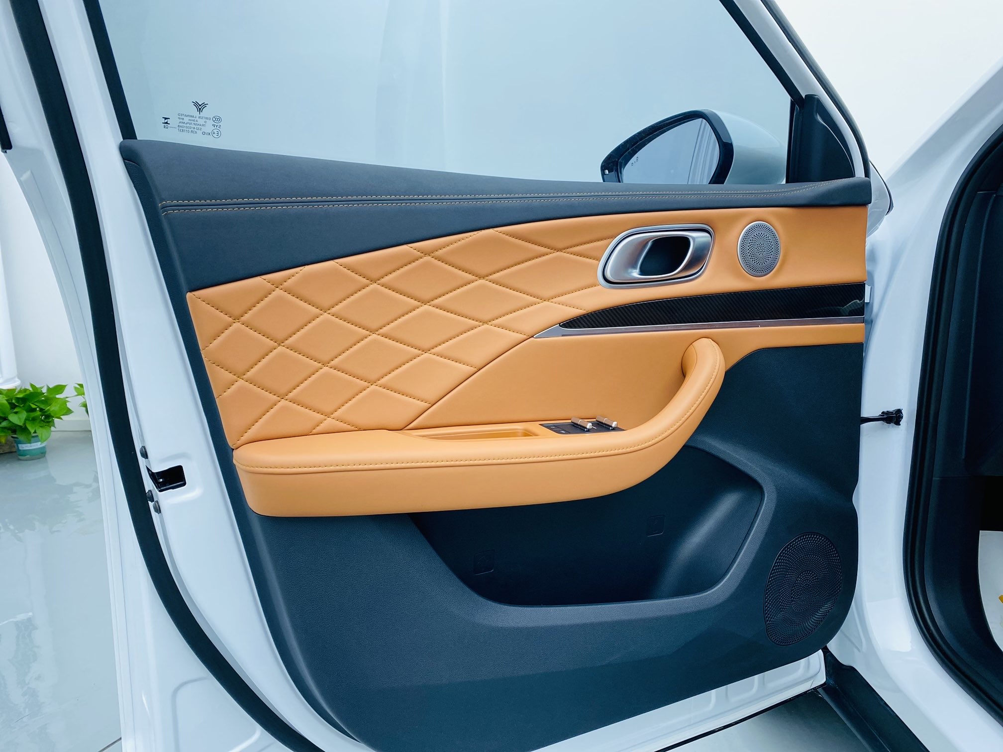 Neta L 2024 imagen de coche #13