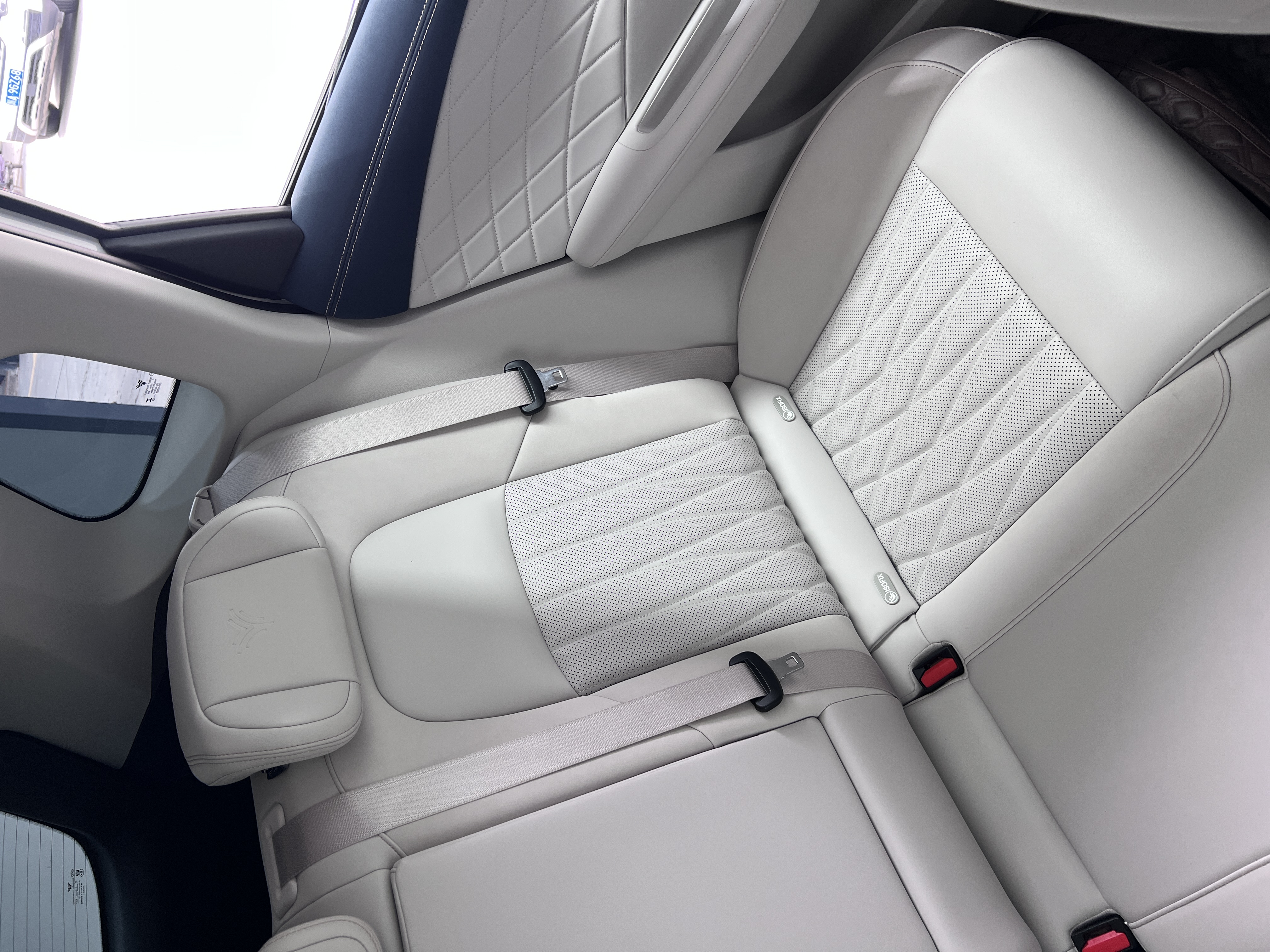 Neta L 2024 imagen de coche #13