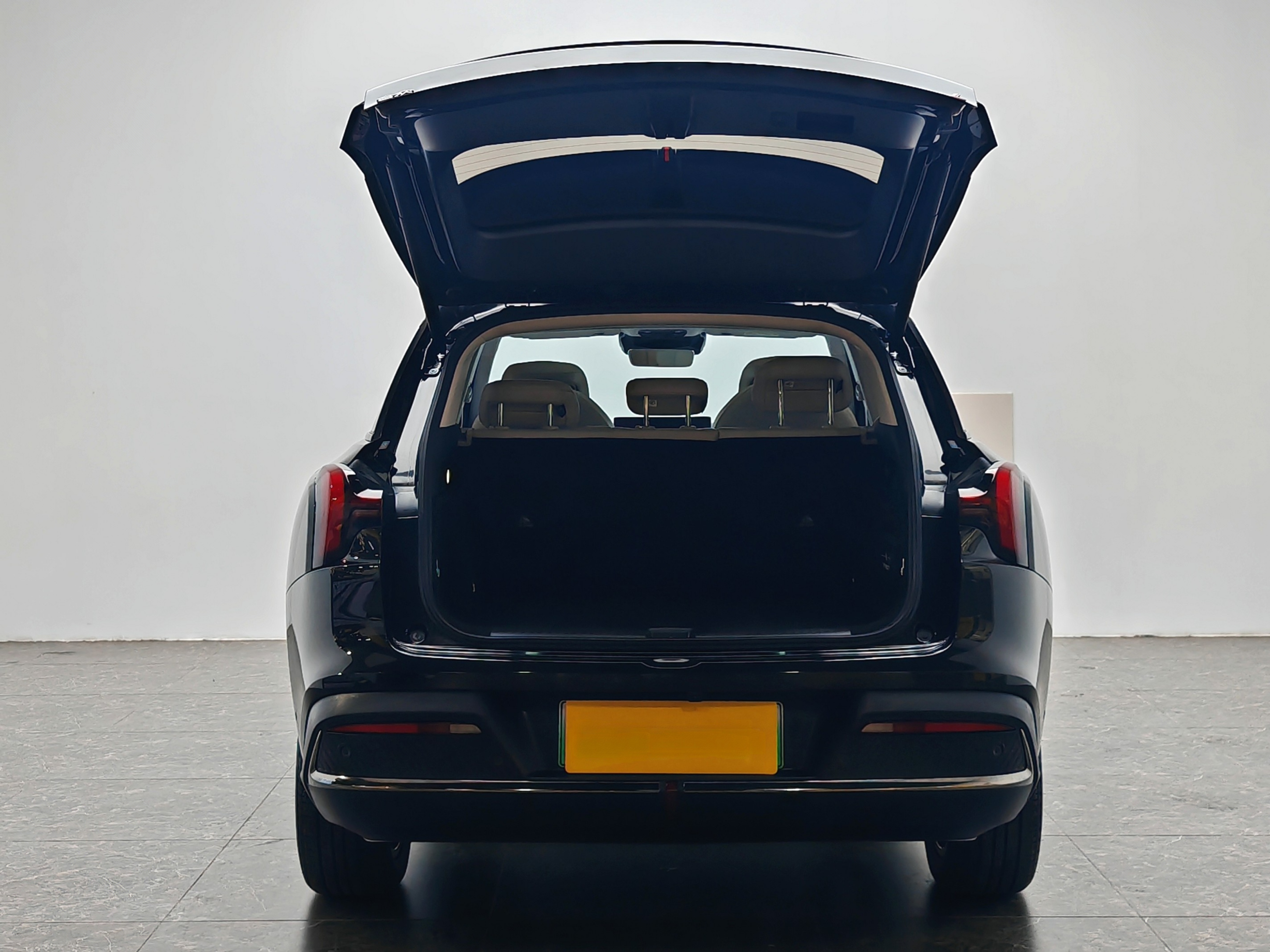 Neta L 2024 imagen de coche #13