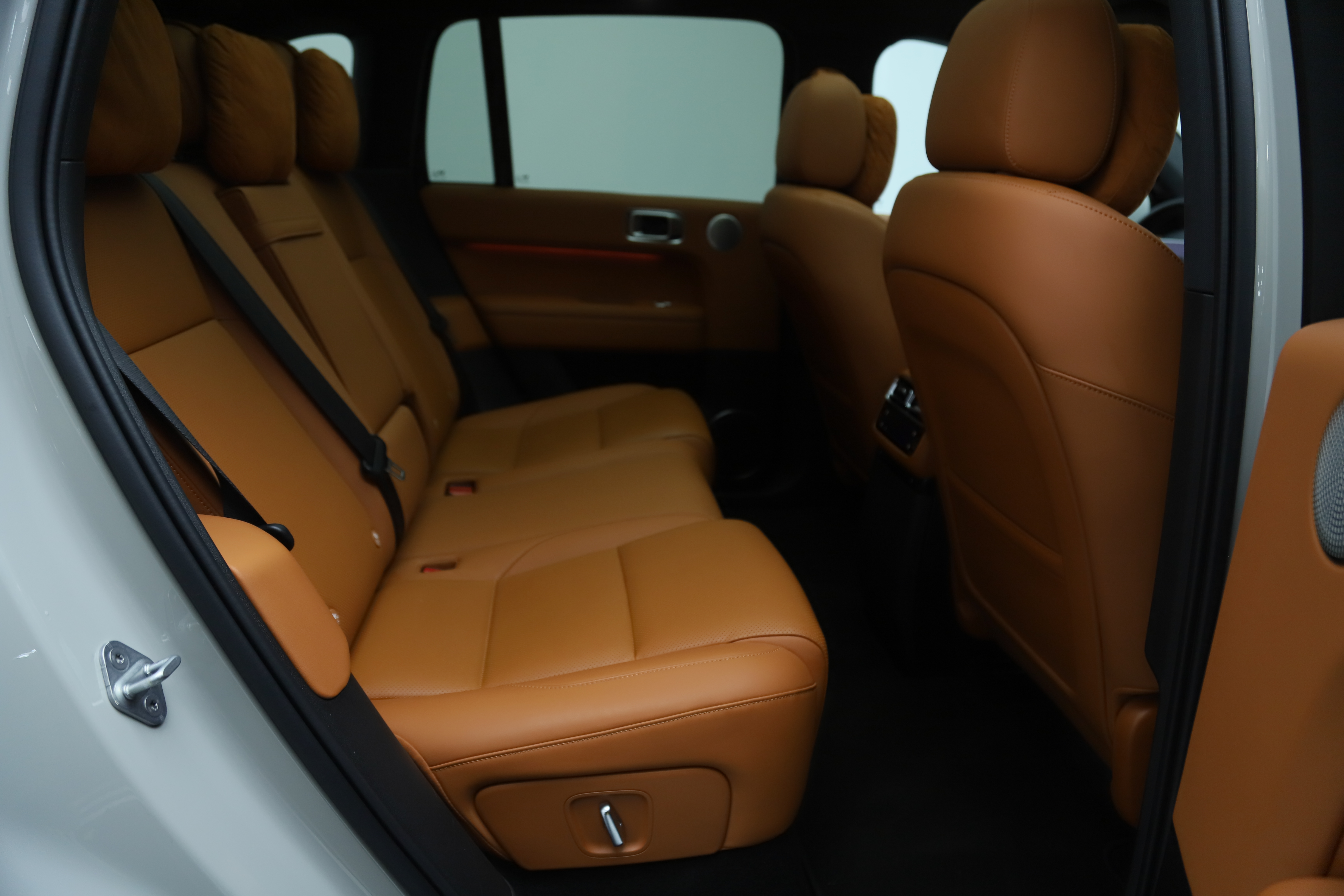 Li L6 2024 car image #13