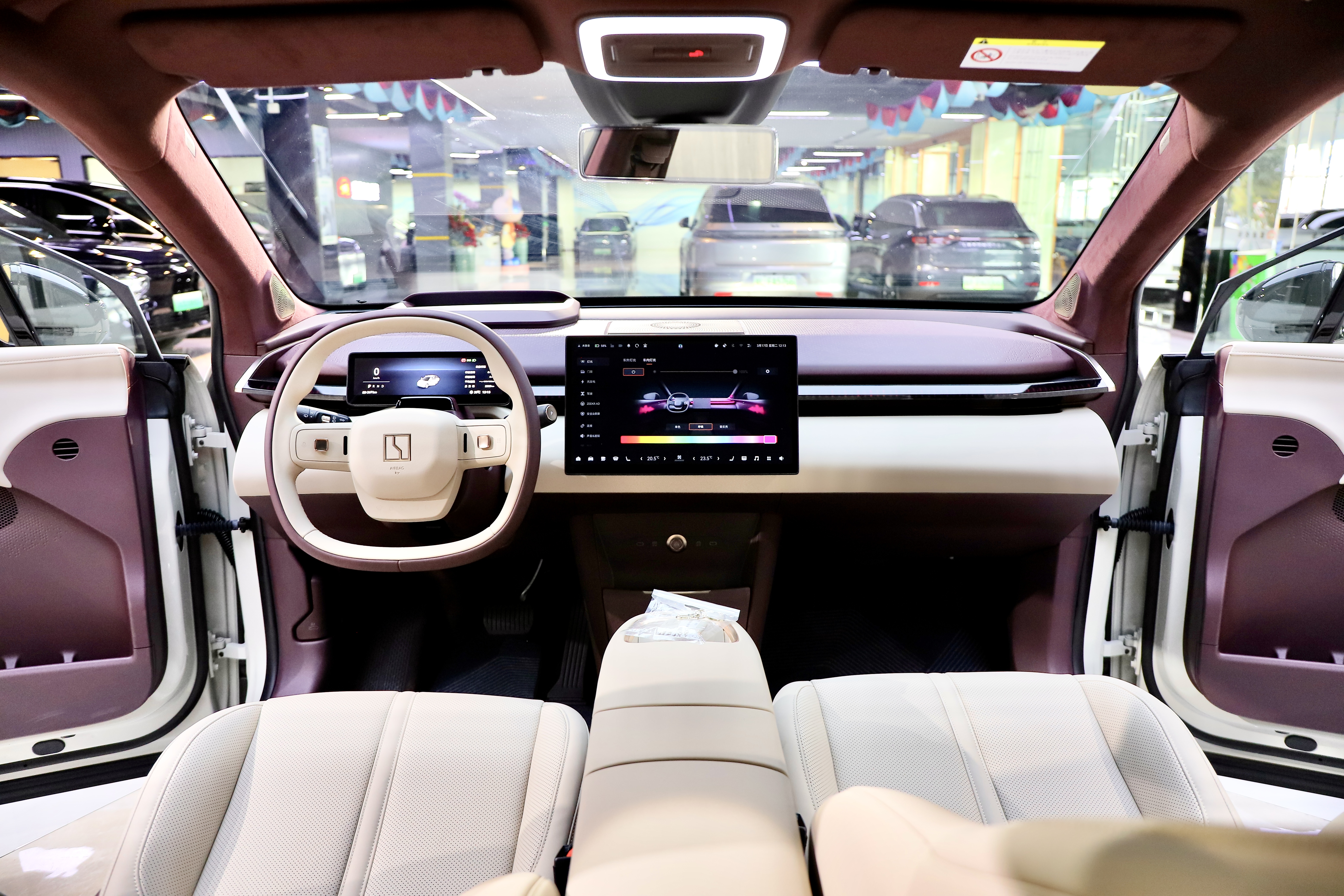 极氪 极氪X 2024 汽车图片 #13