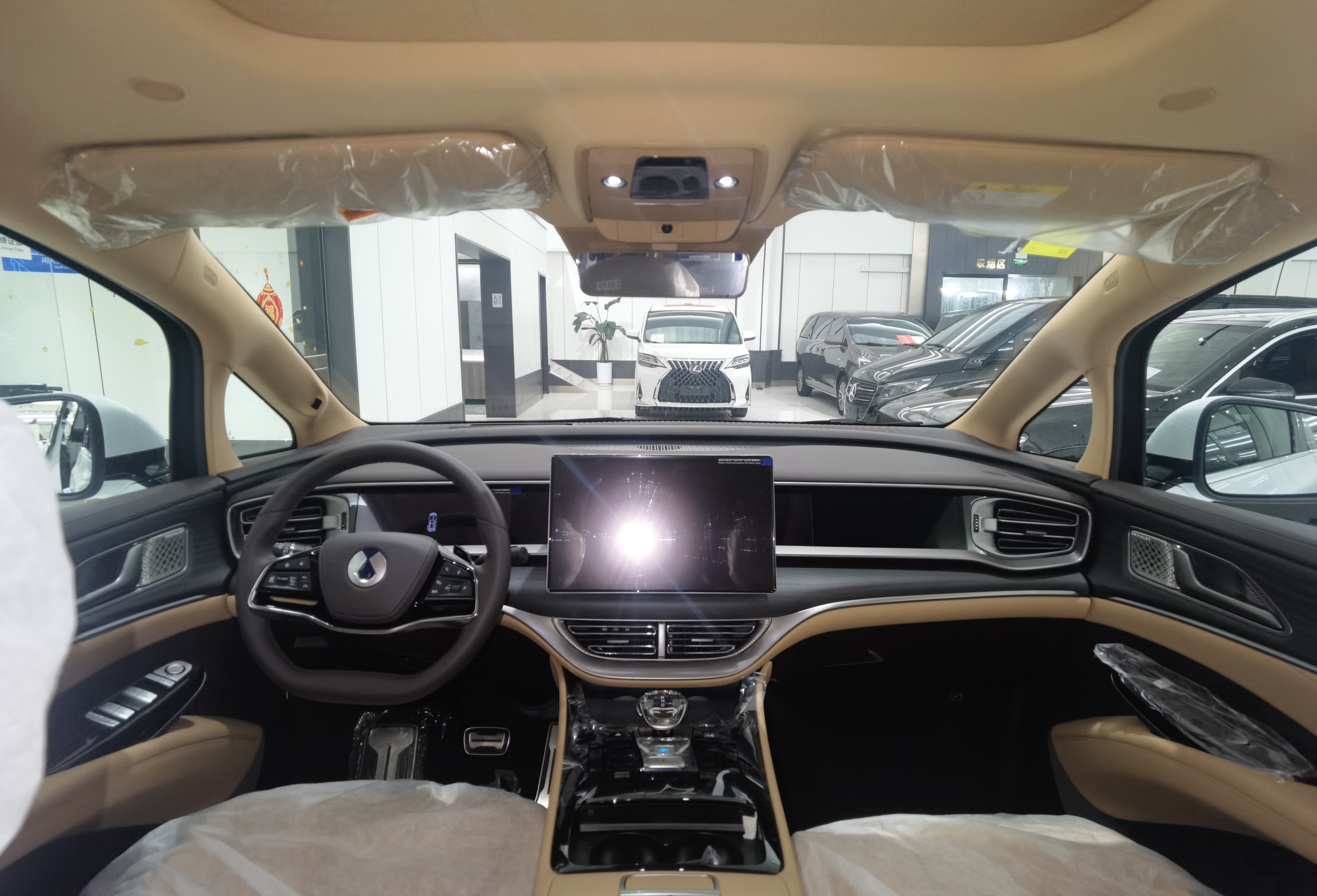 Denza D9 2025 imagen de coche #13