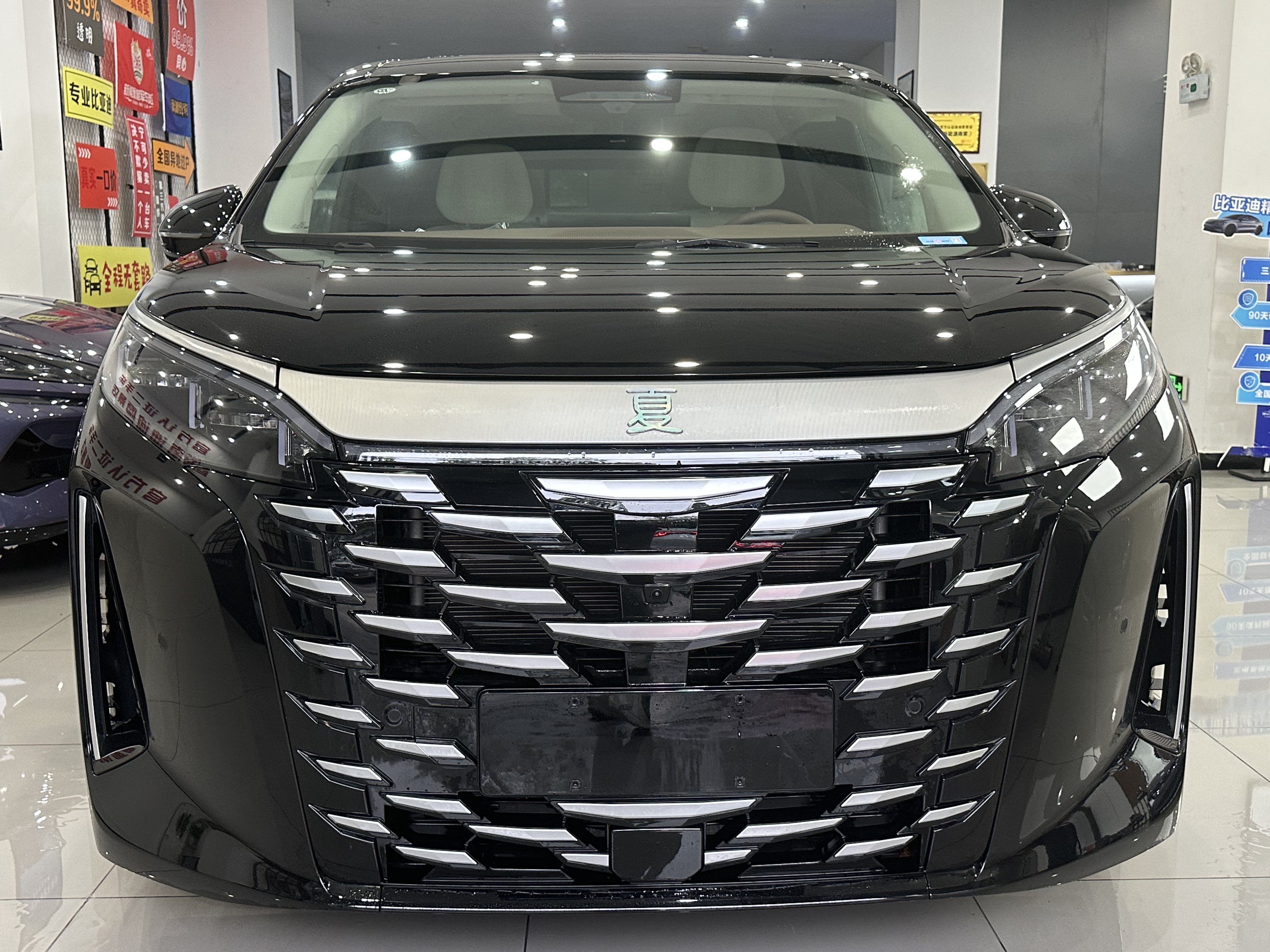 BYD Xia 2025 imagen de coche #13