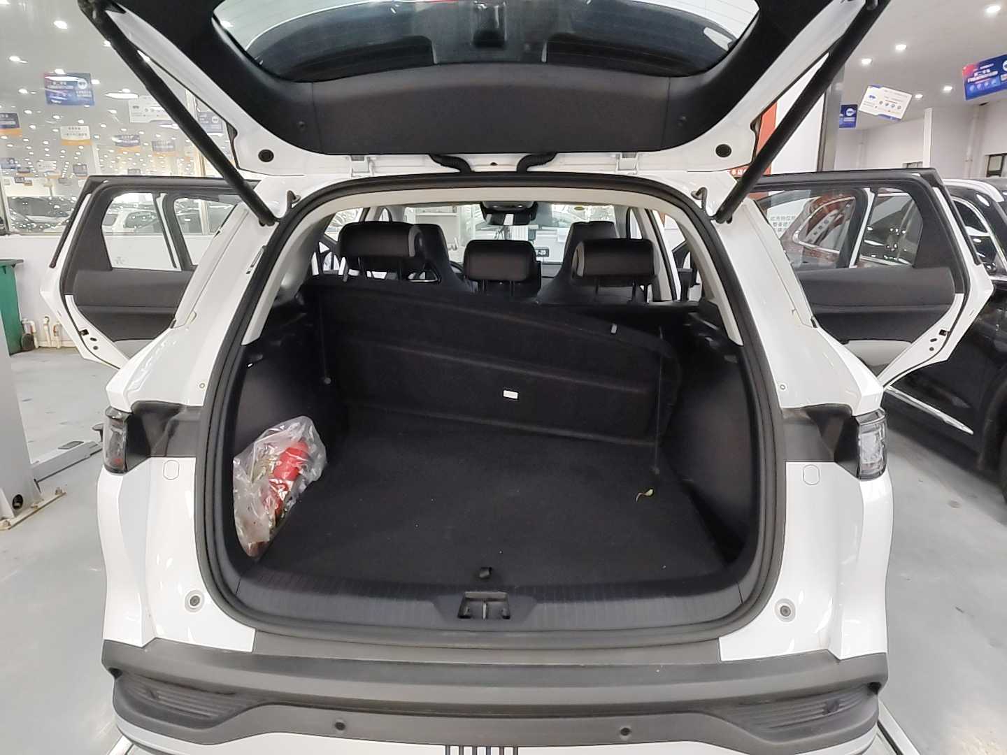 BYD Sea Lion 05 DM-i 2025 car image #13