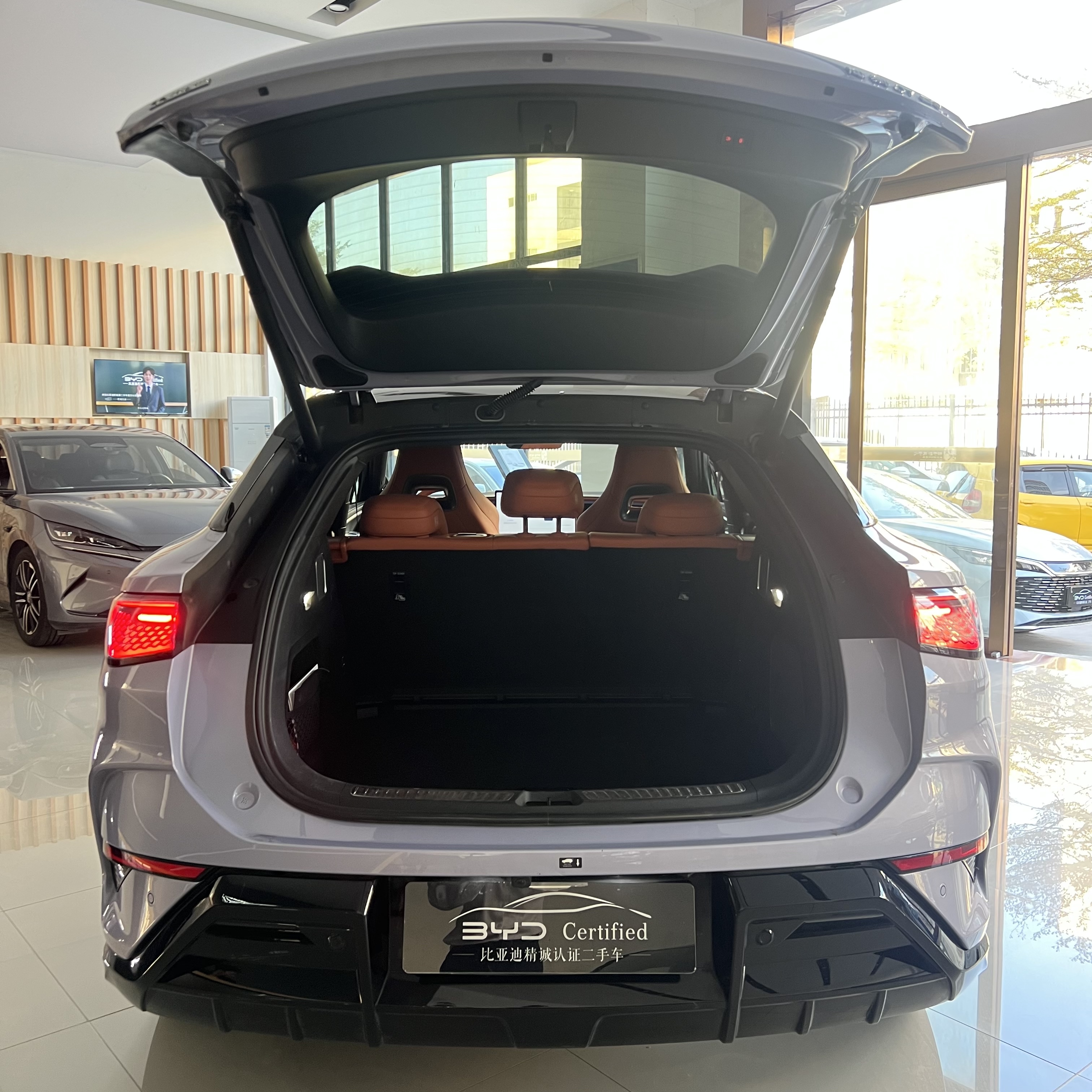 BYD Sea Lion 07 EV 2025 car image #13