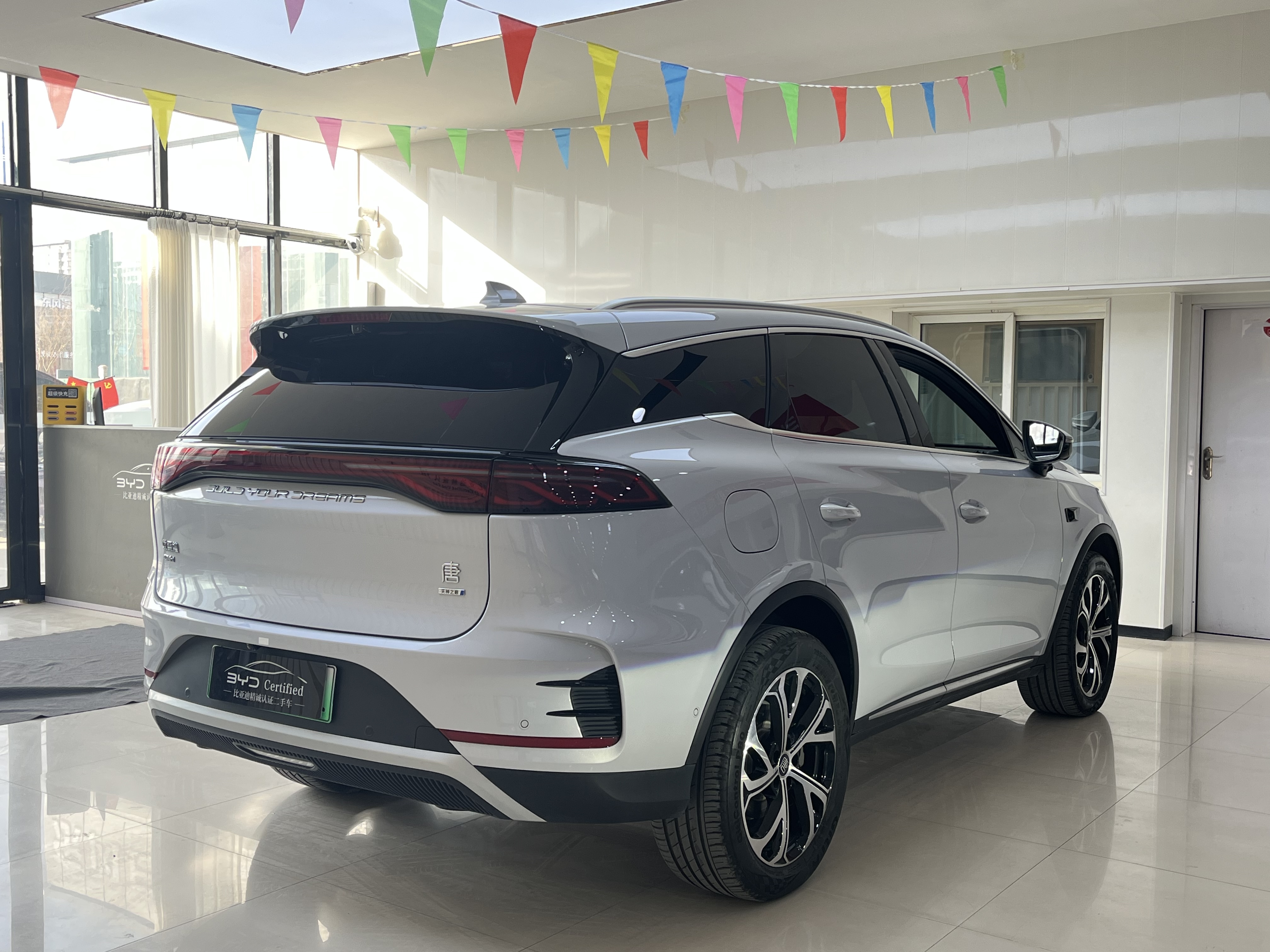 BYD Tang New Energy 2025 car image #13