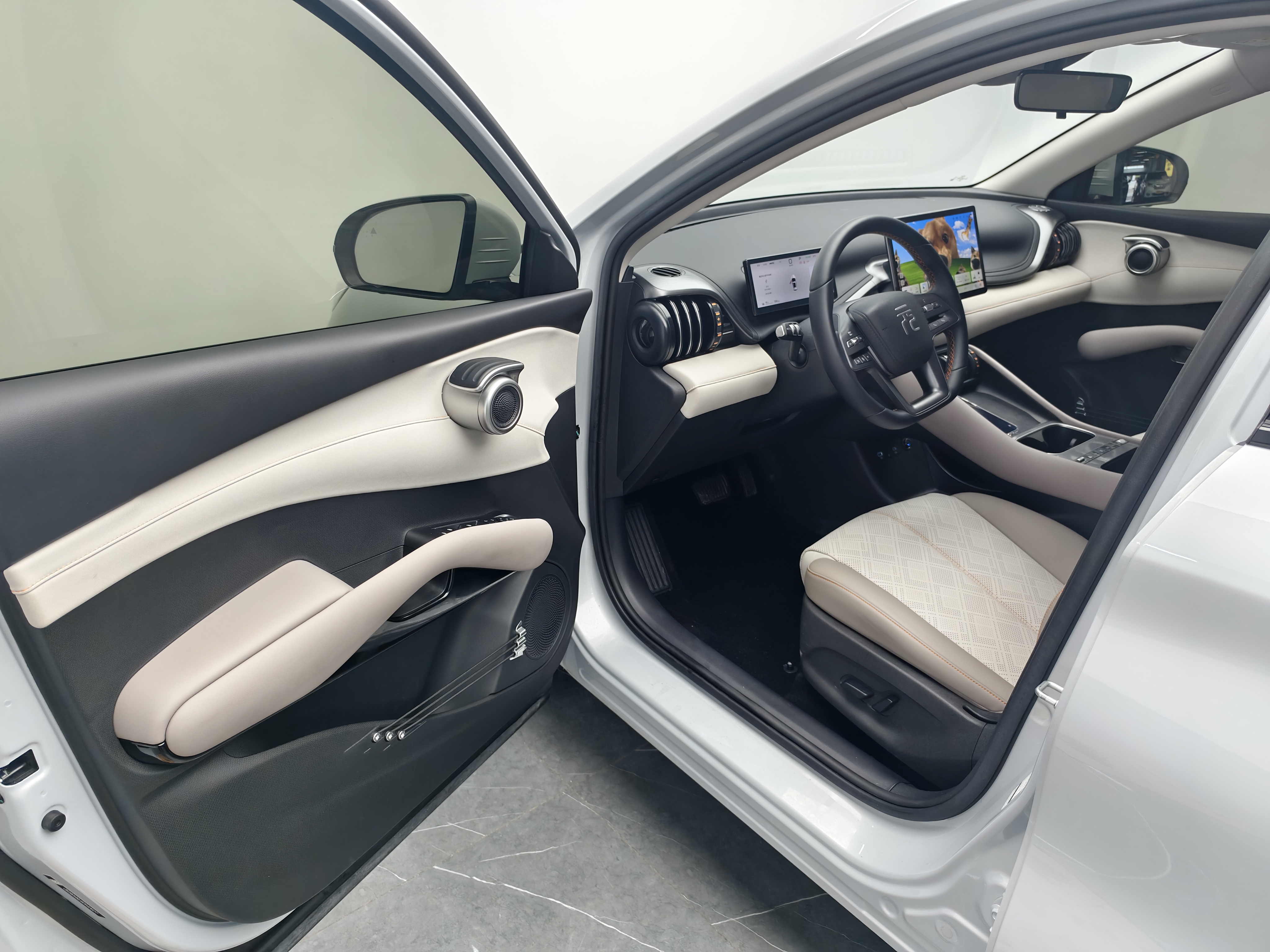 BYD Yuan Plus 2025 #13 BYD Yuan Plus 2025 car image #13